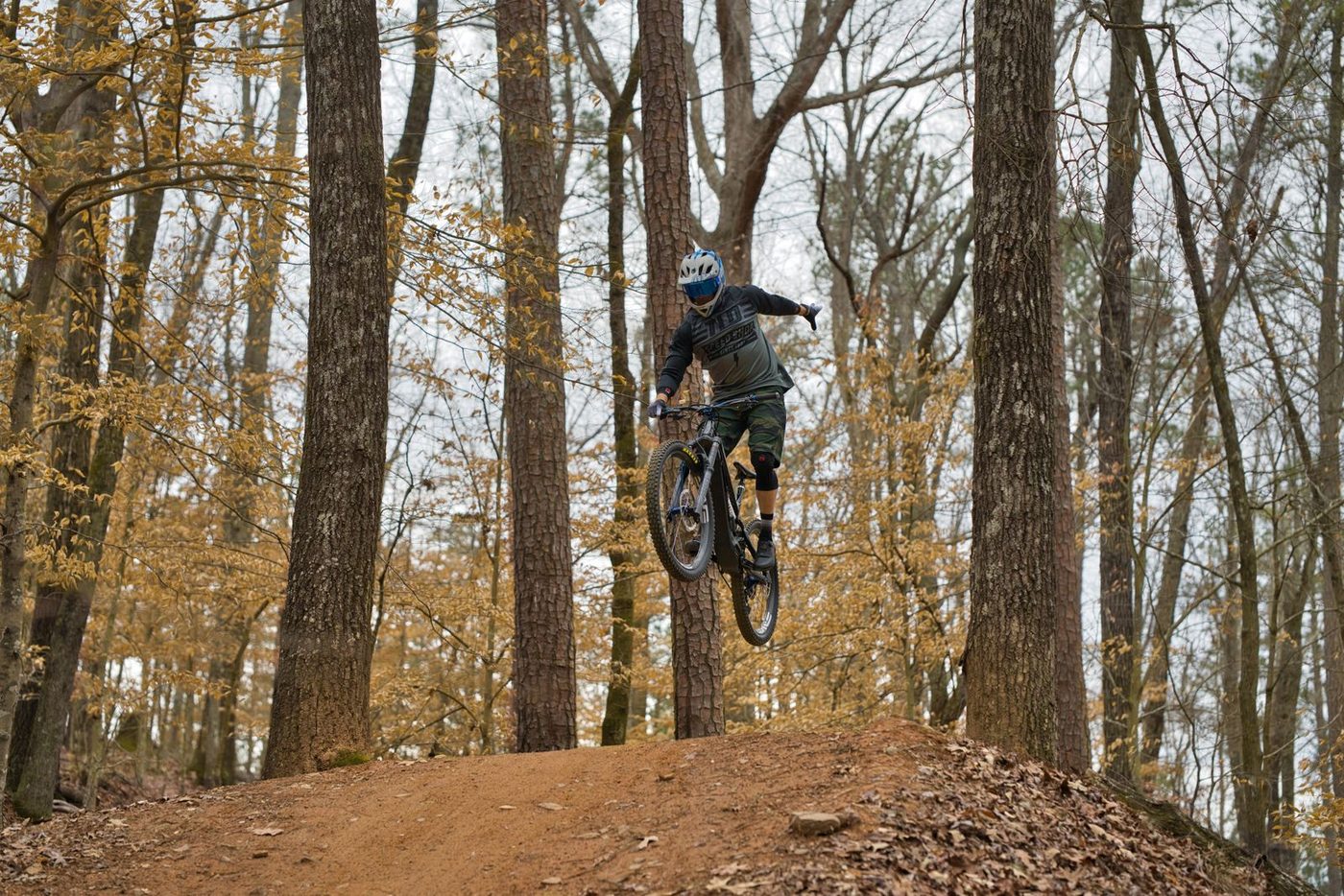 A mountain biker mid-air off a dirt jump on a trail cut through a stand of bare autumn trees.