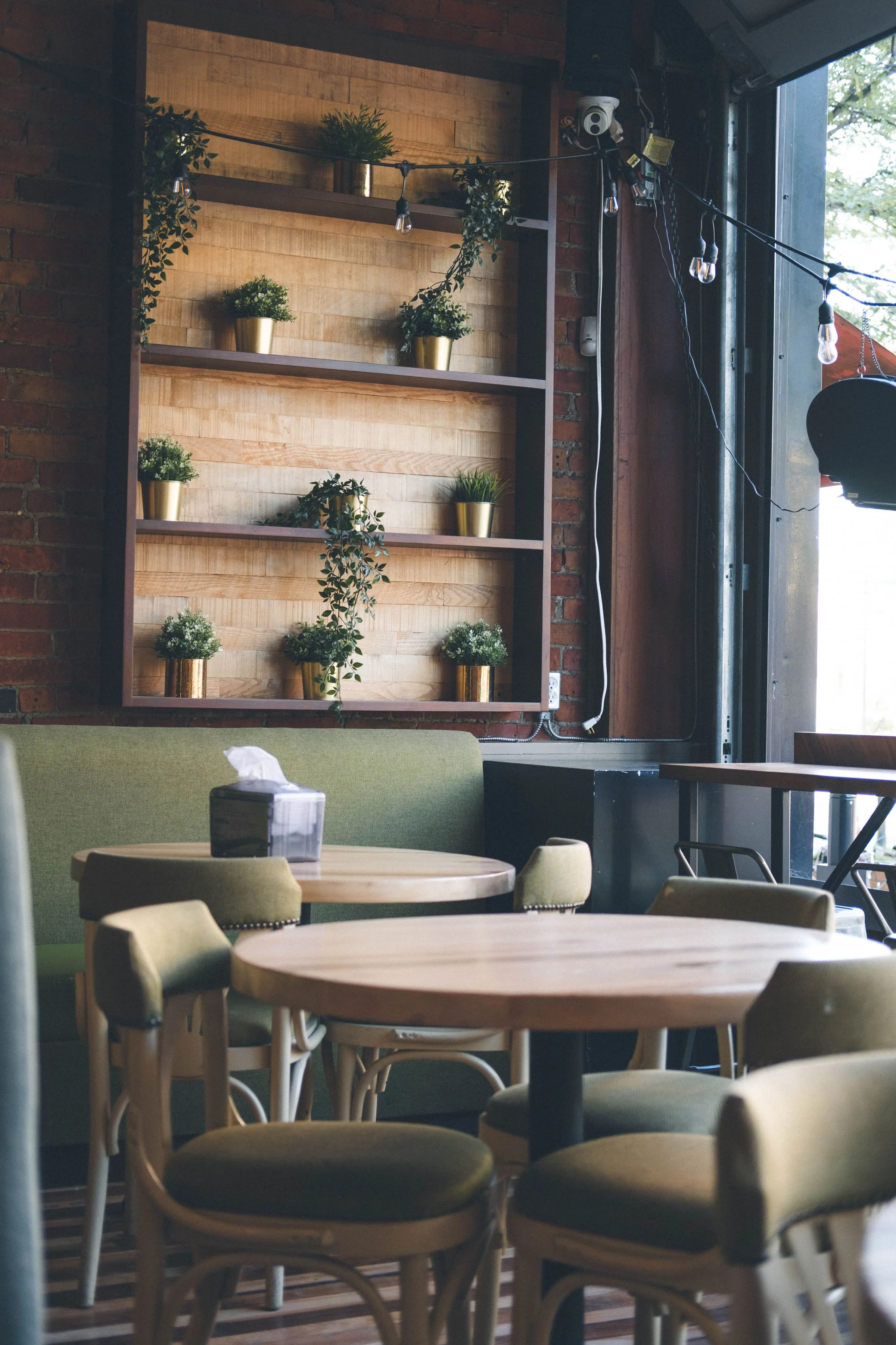 Raised seating area at Forma Café with timber tables and wall-mounted planting.