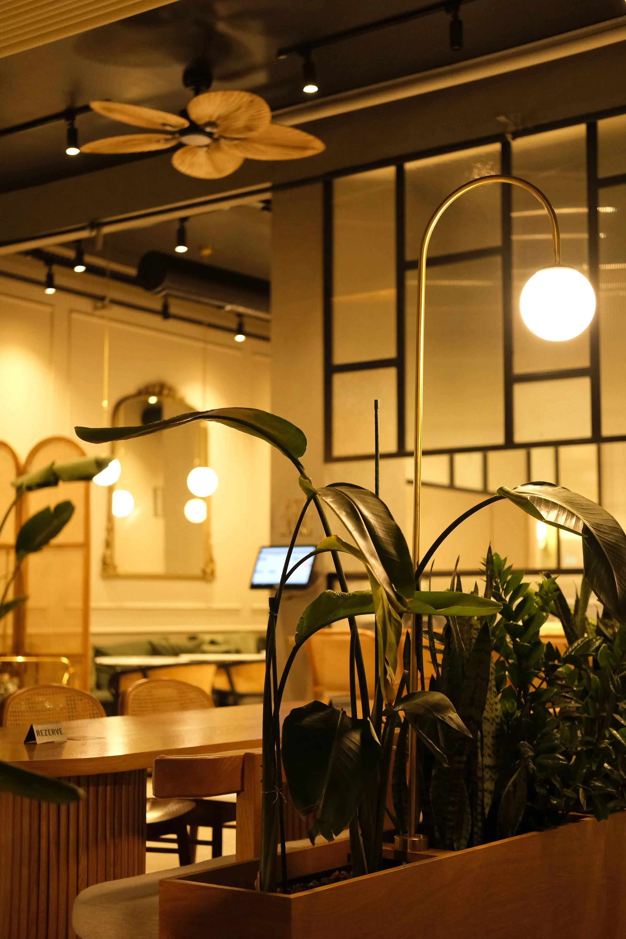 Planting and pendant lighting above the seating at Forma Café.