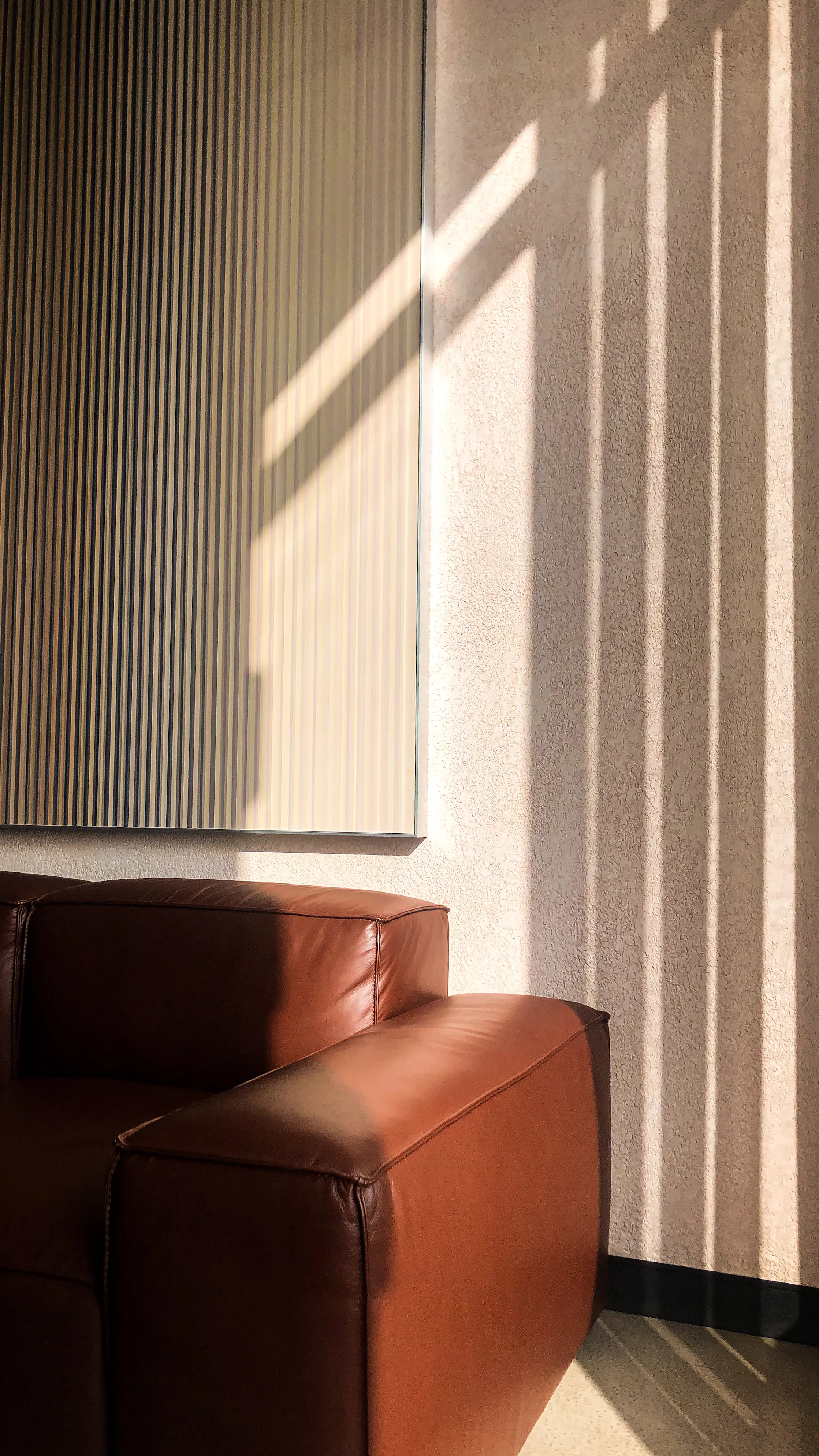 Sunlight falling across a leather sofa, throwing hard shadow patterns onto the wall behind.