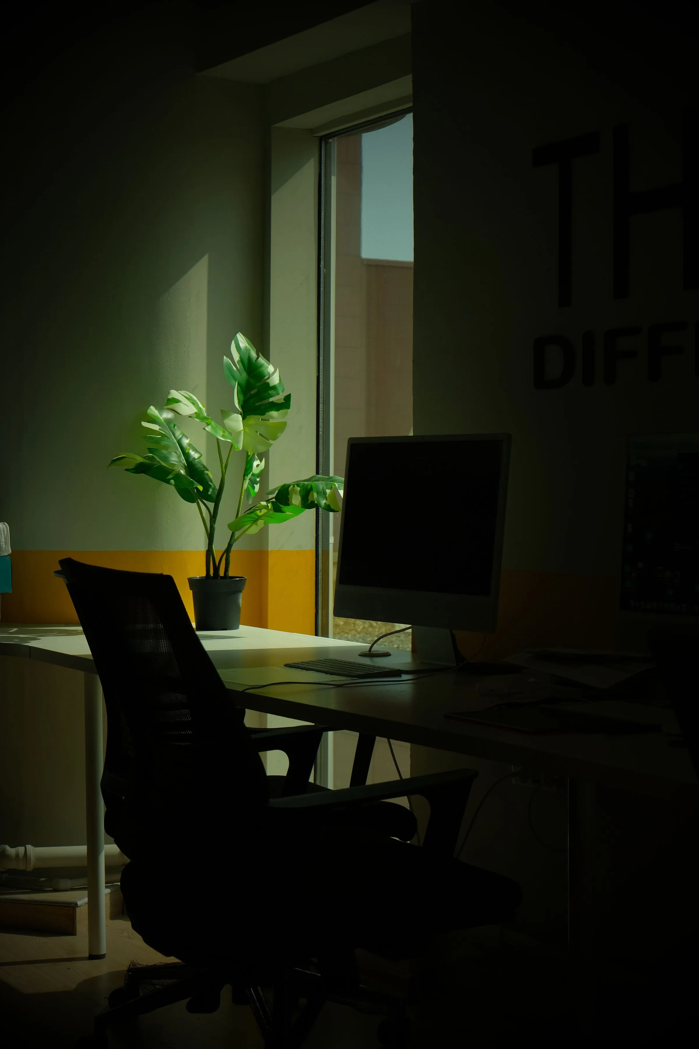 Single desk at Northlight Studio with a monitor and a plant beside a window.