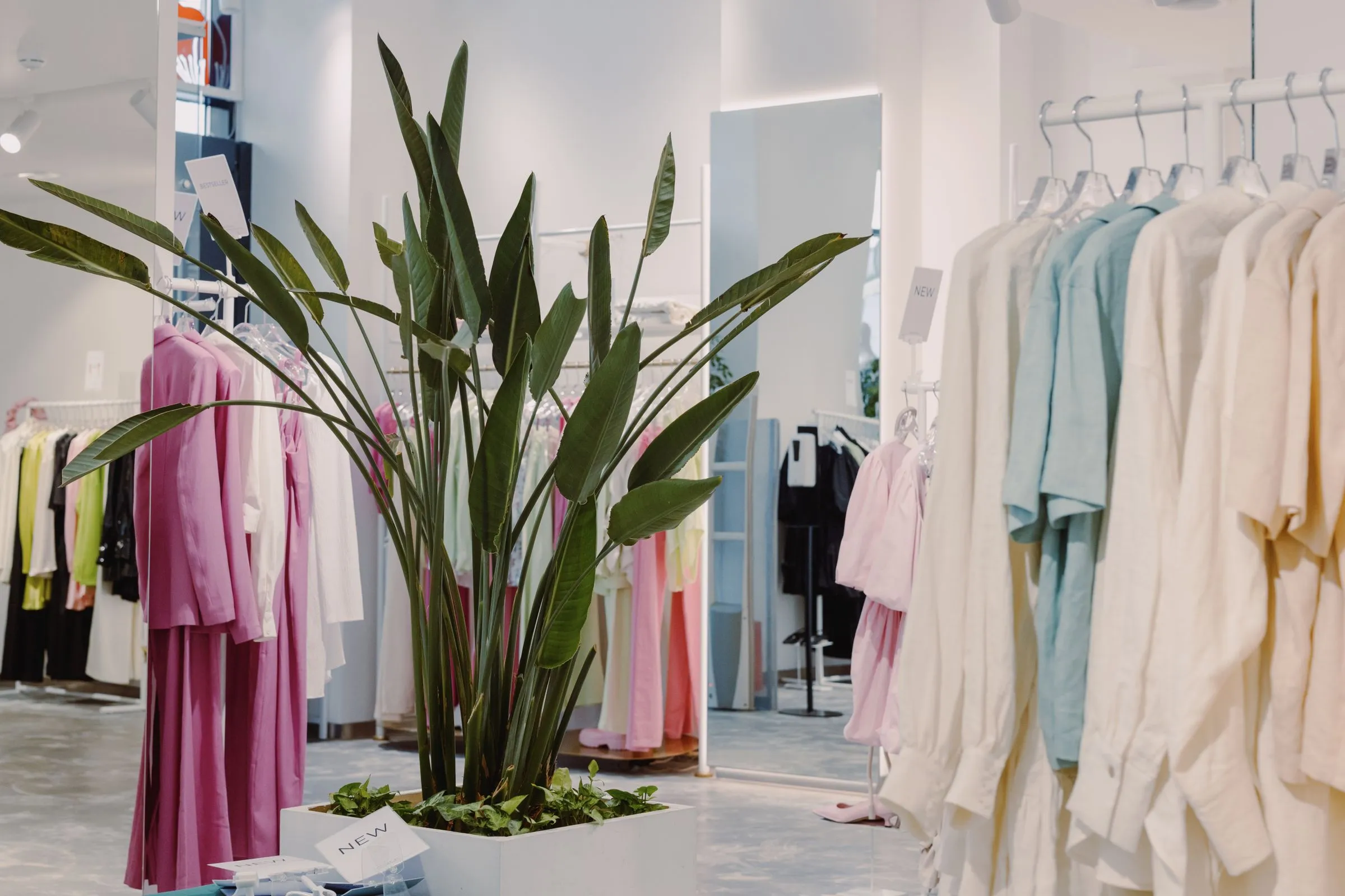 Vault & Vine store interior with pale garments on open rails and a large plant at the centre.
