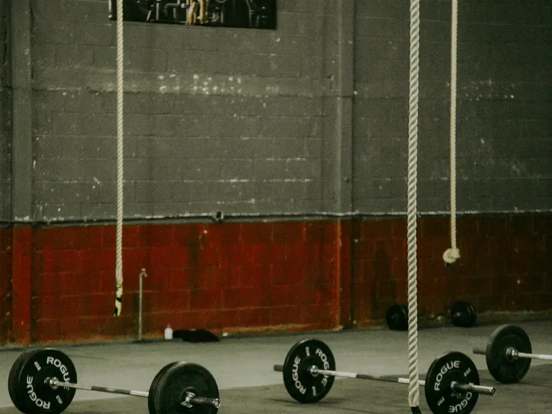 Row of lifting platforms and loaded barbells across the main floor