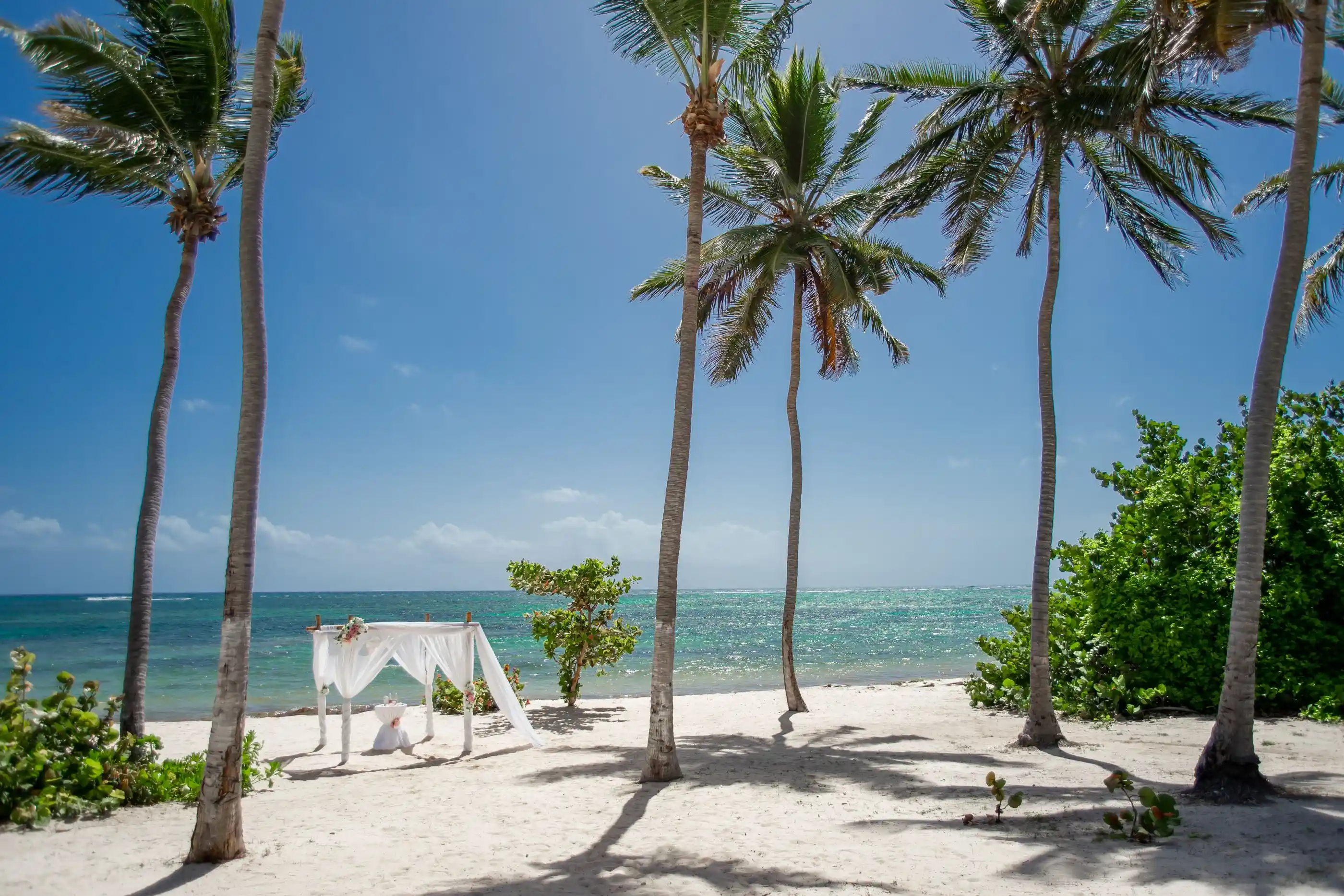 A wedding altar framed by palms on an empty stretch of beach