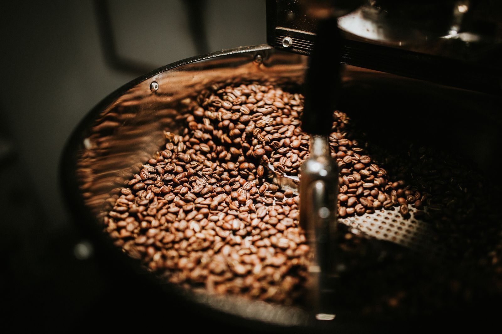 Freshly roasted coffee beans turning inside a drum roaster