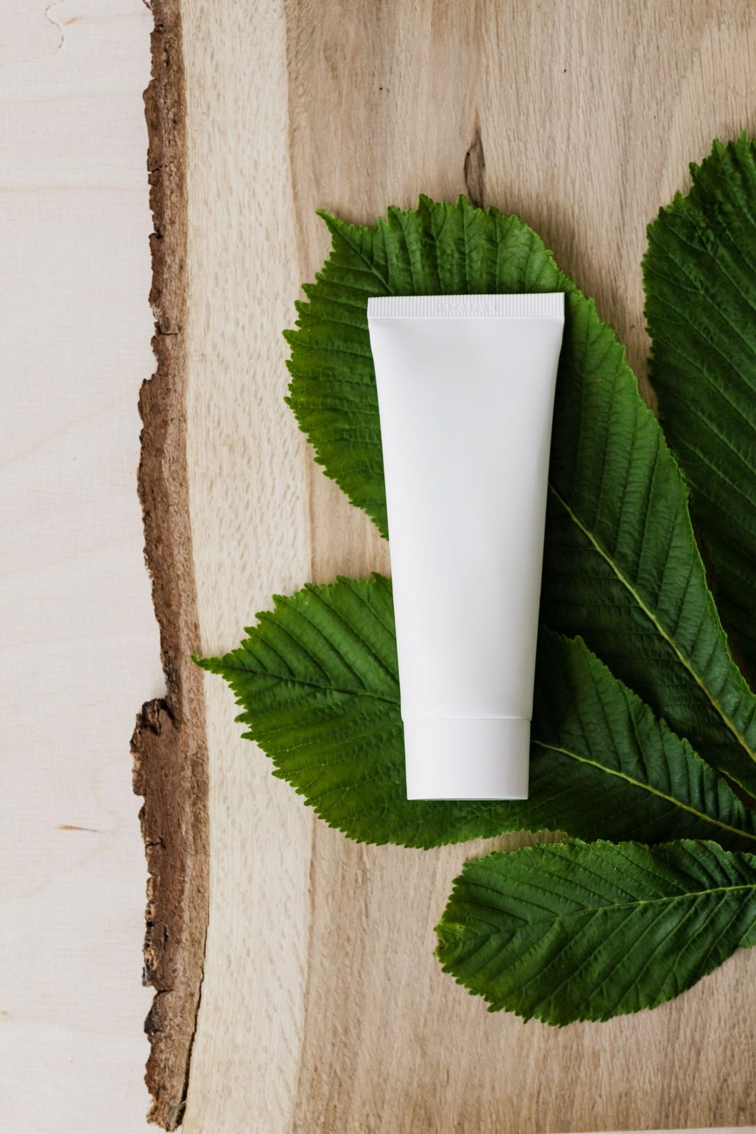 White unbranded beauty tube resting on green leaves for Ode botanical skincare