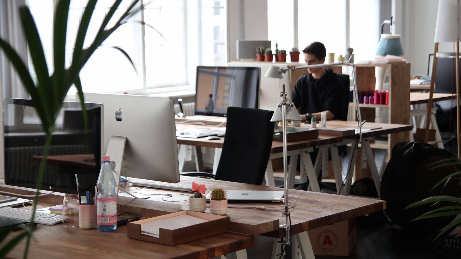 Fielden & Co studio interior with wooden desks, an iMac and trailing plants