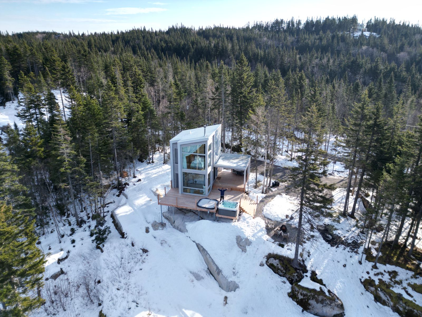 Aerial render of a glass forest pavilion in a snow-covered clearing