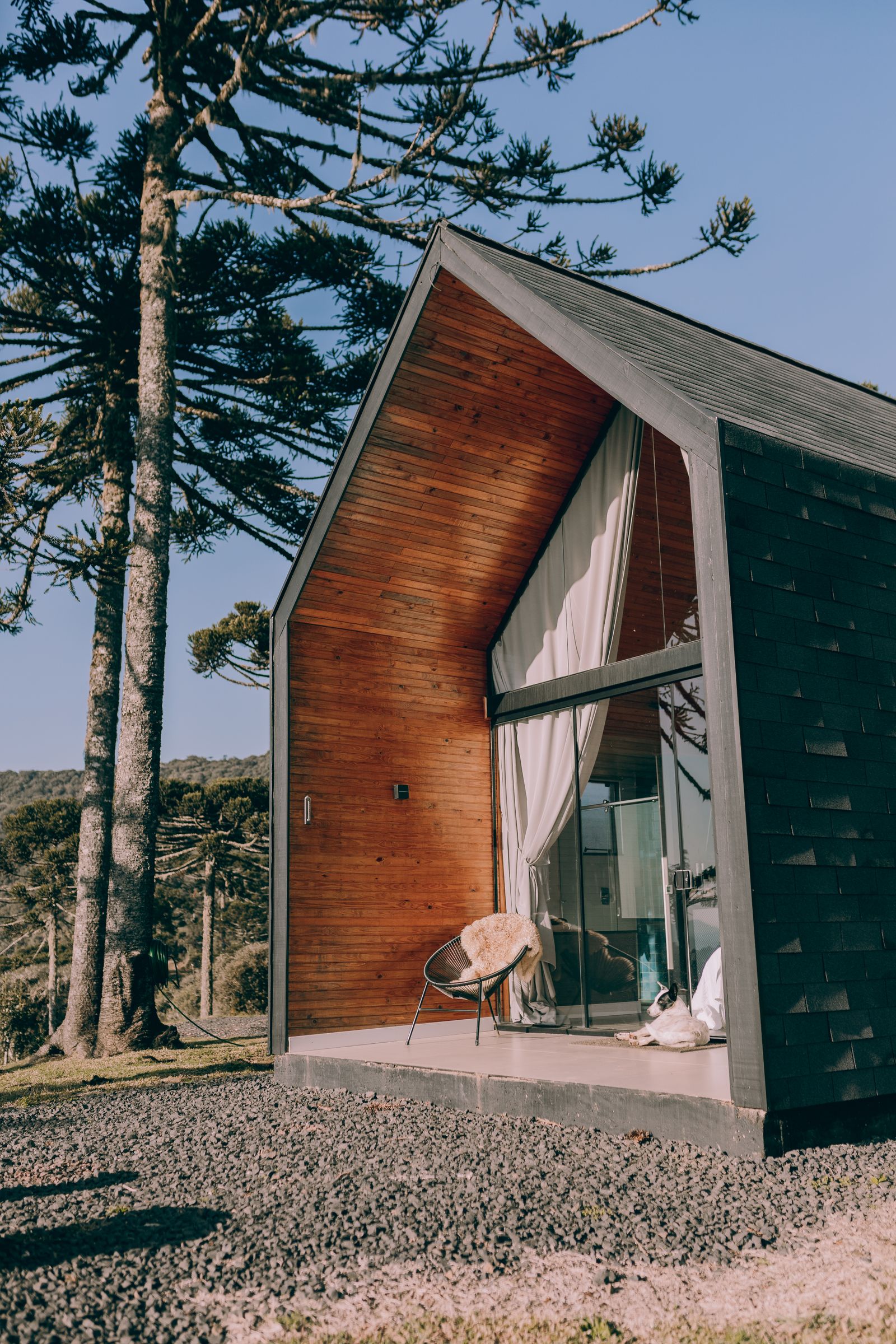 Exterior render — guest cabin nestled among tall firs