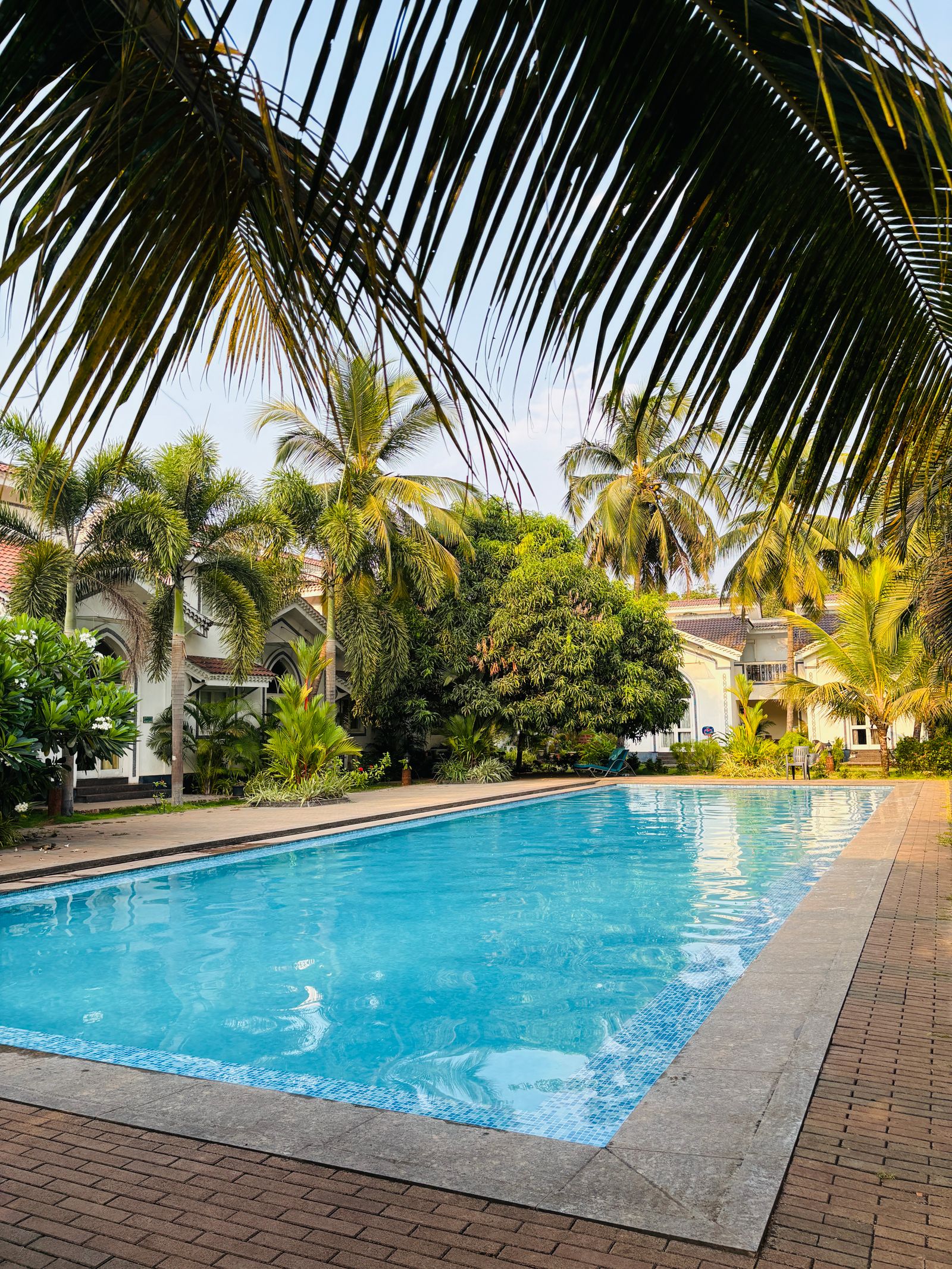 Exterior render of a palm-lined poolside terrace under bright tropical light