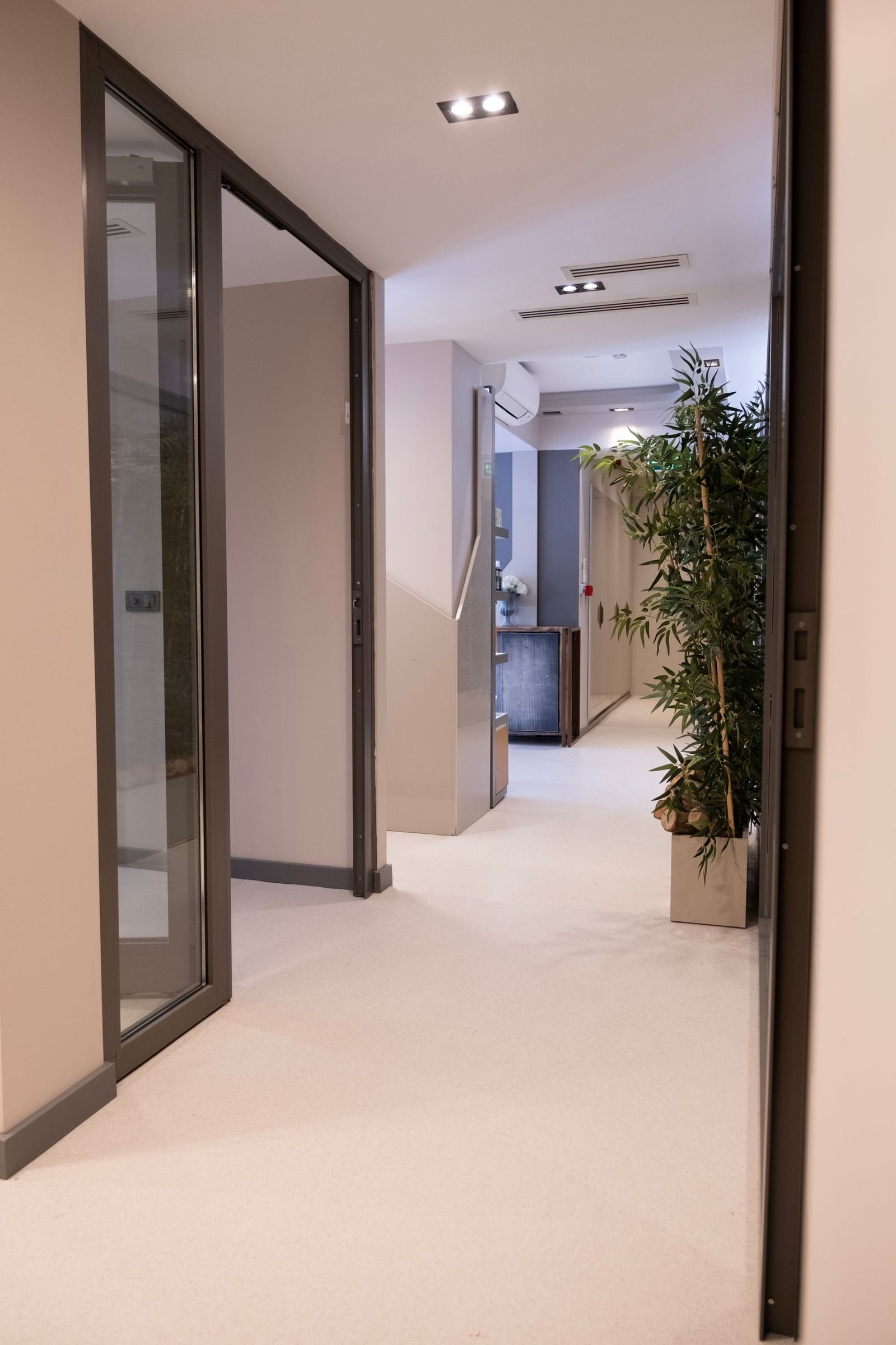 A clinic corridor of glass and planting, lit end to end by daylight