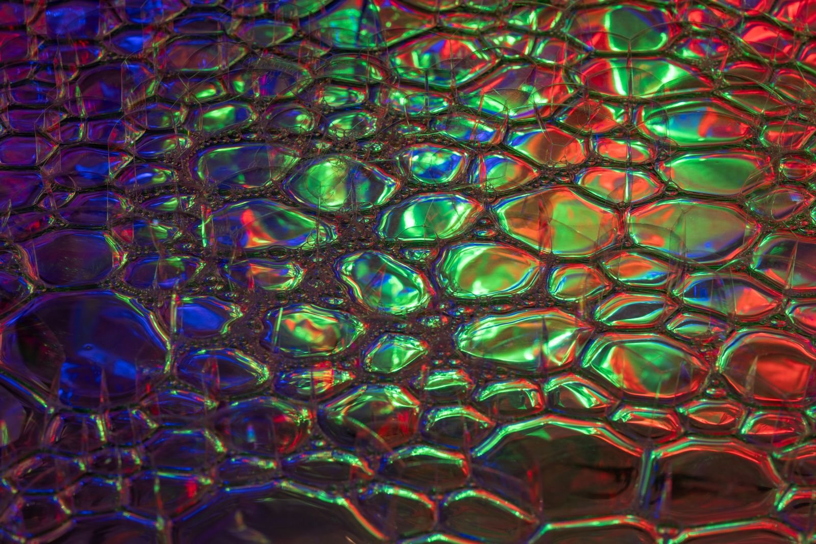A vivid iridescent surface of overlapping coloured cells