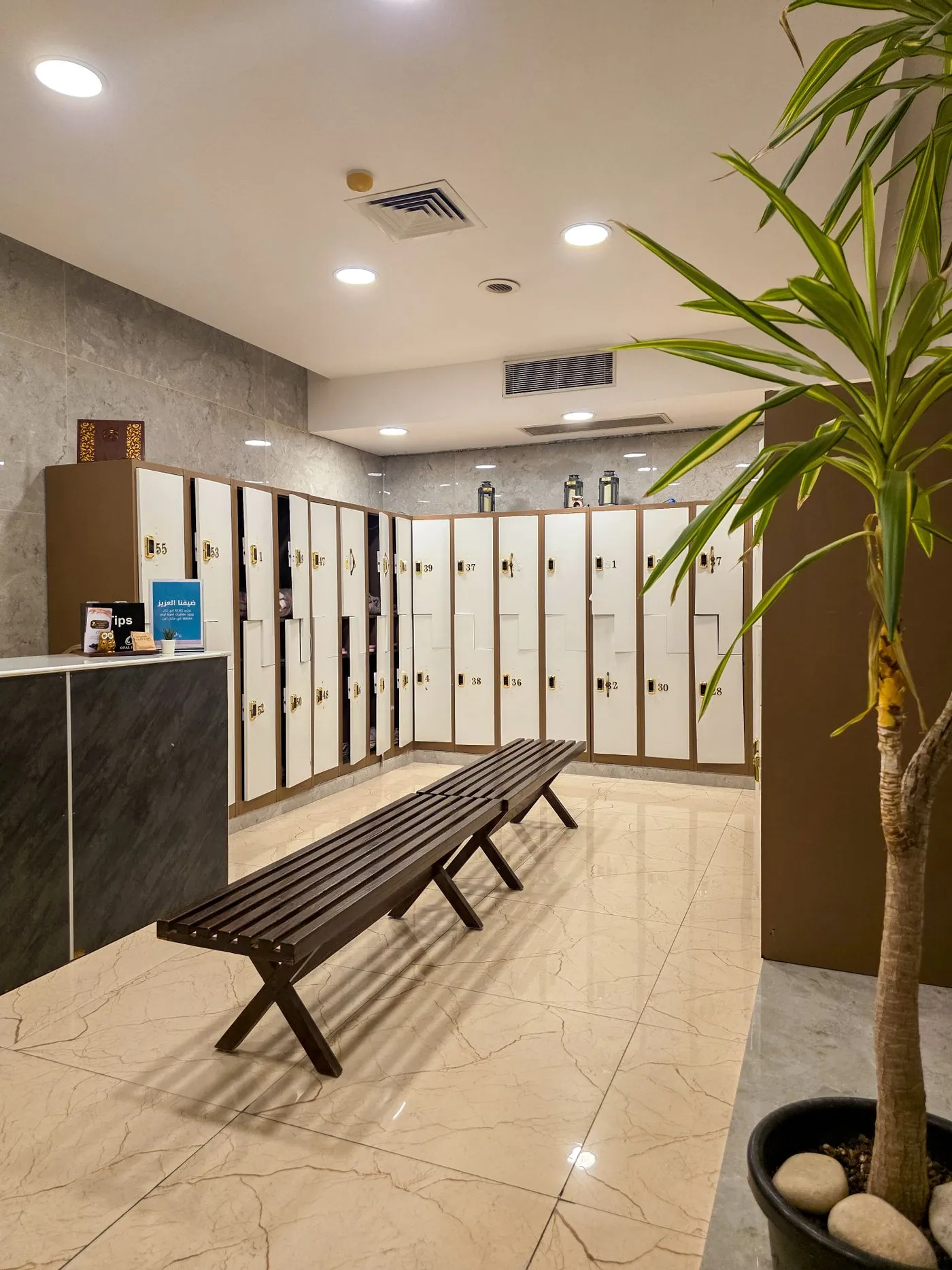 Warm timber changing room with a bench and planting