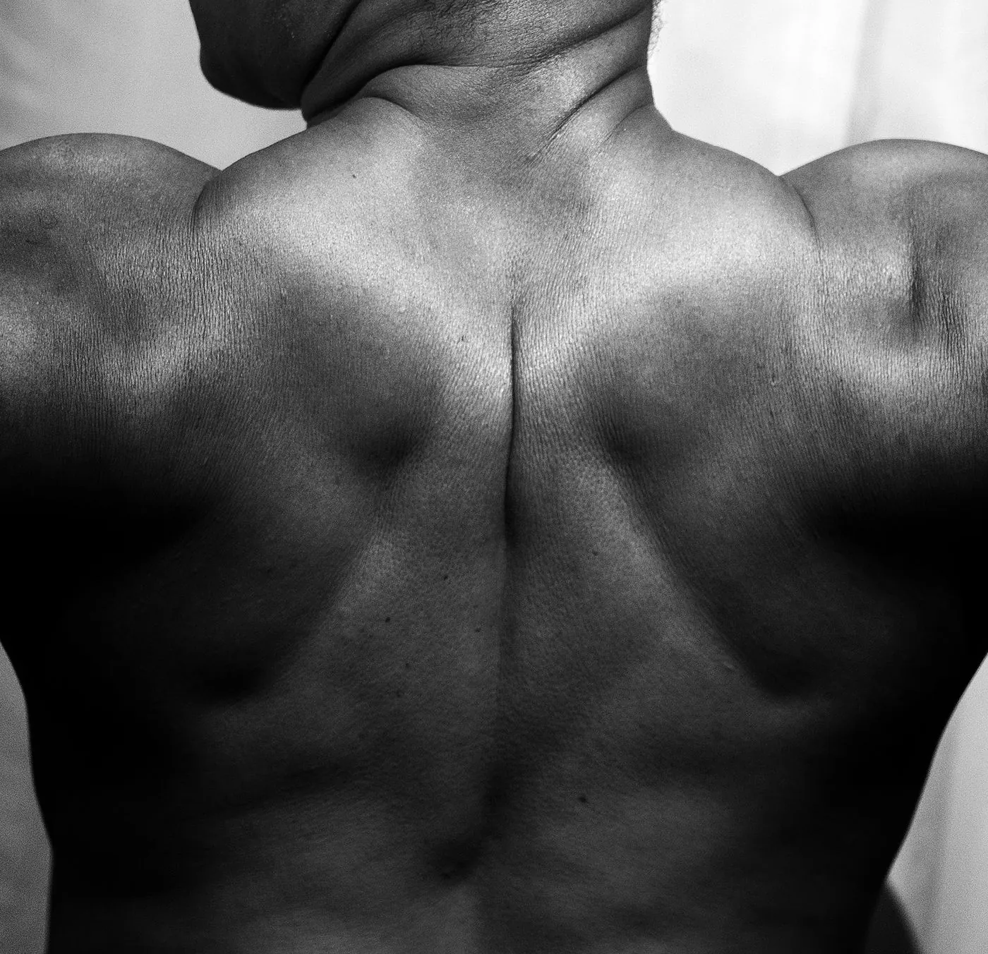 Black and white study of an athlete's back musculature
