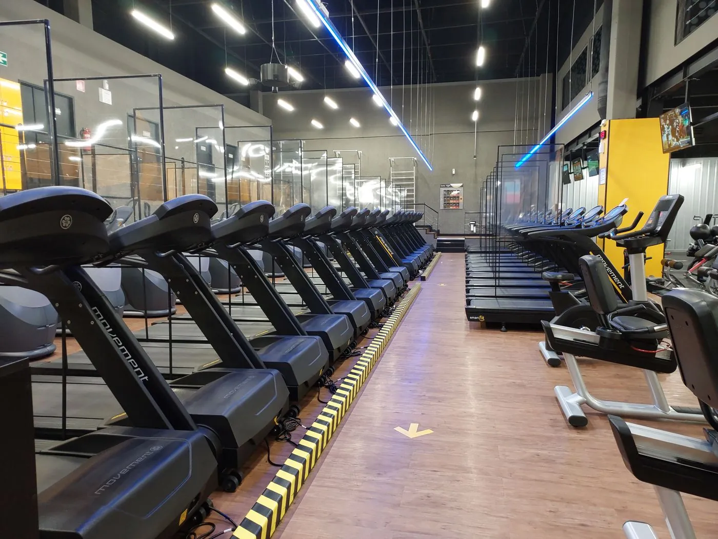 Long perspective down a row of treadmills