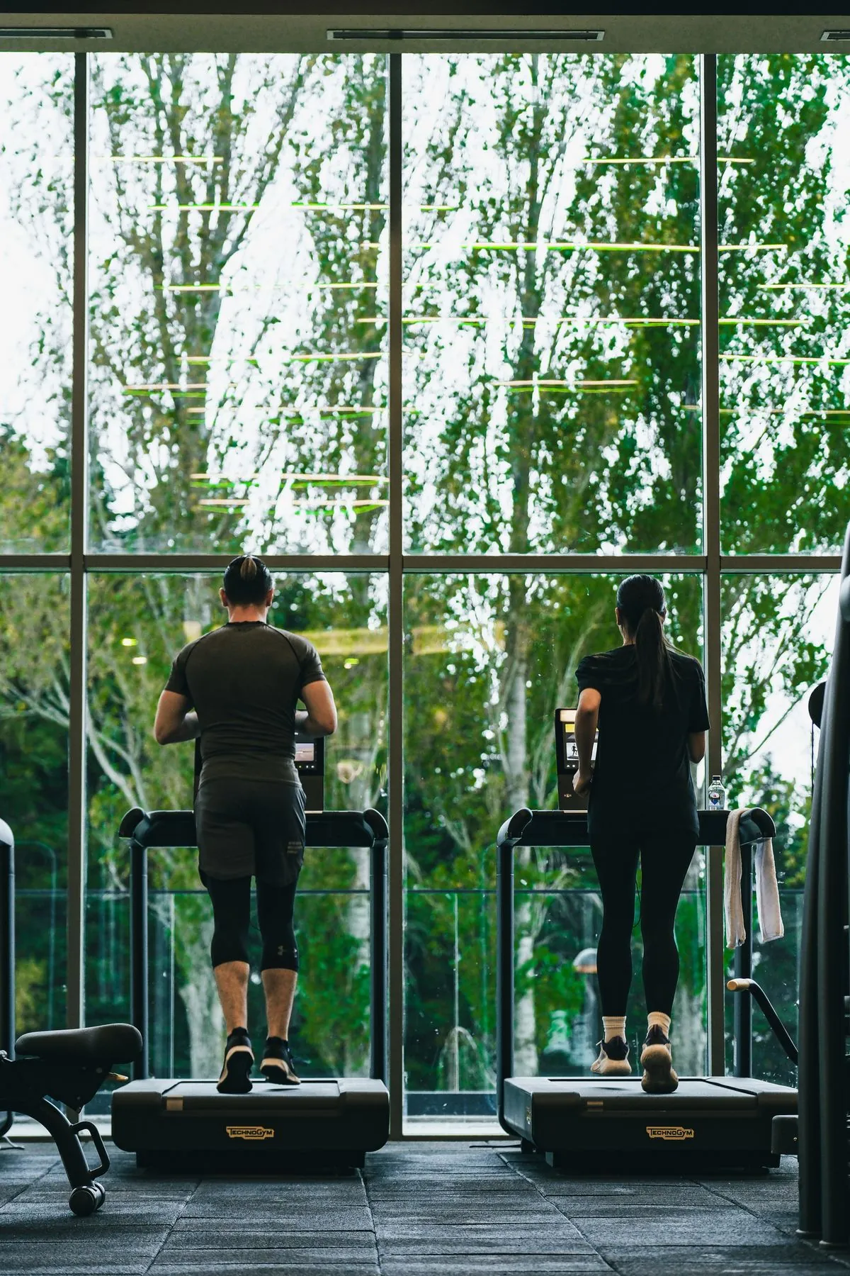 Runners on a row of treadmills facing a wall of windows