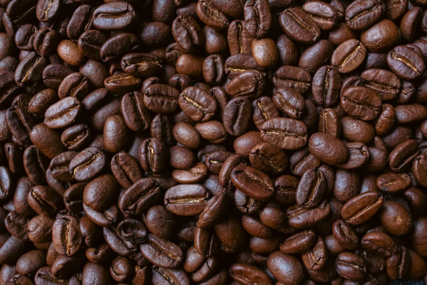 Close-up of glossy dark-roast coffee beans