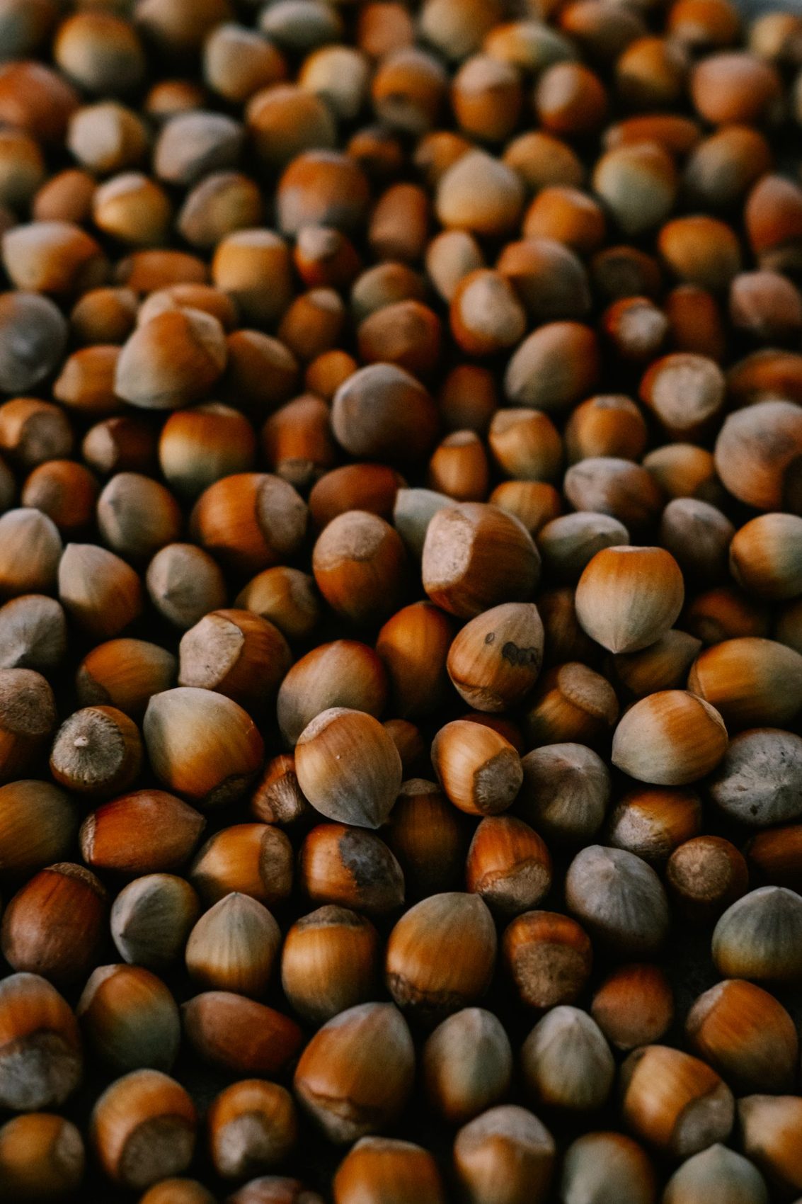 A bed of roasted hazelnuts