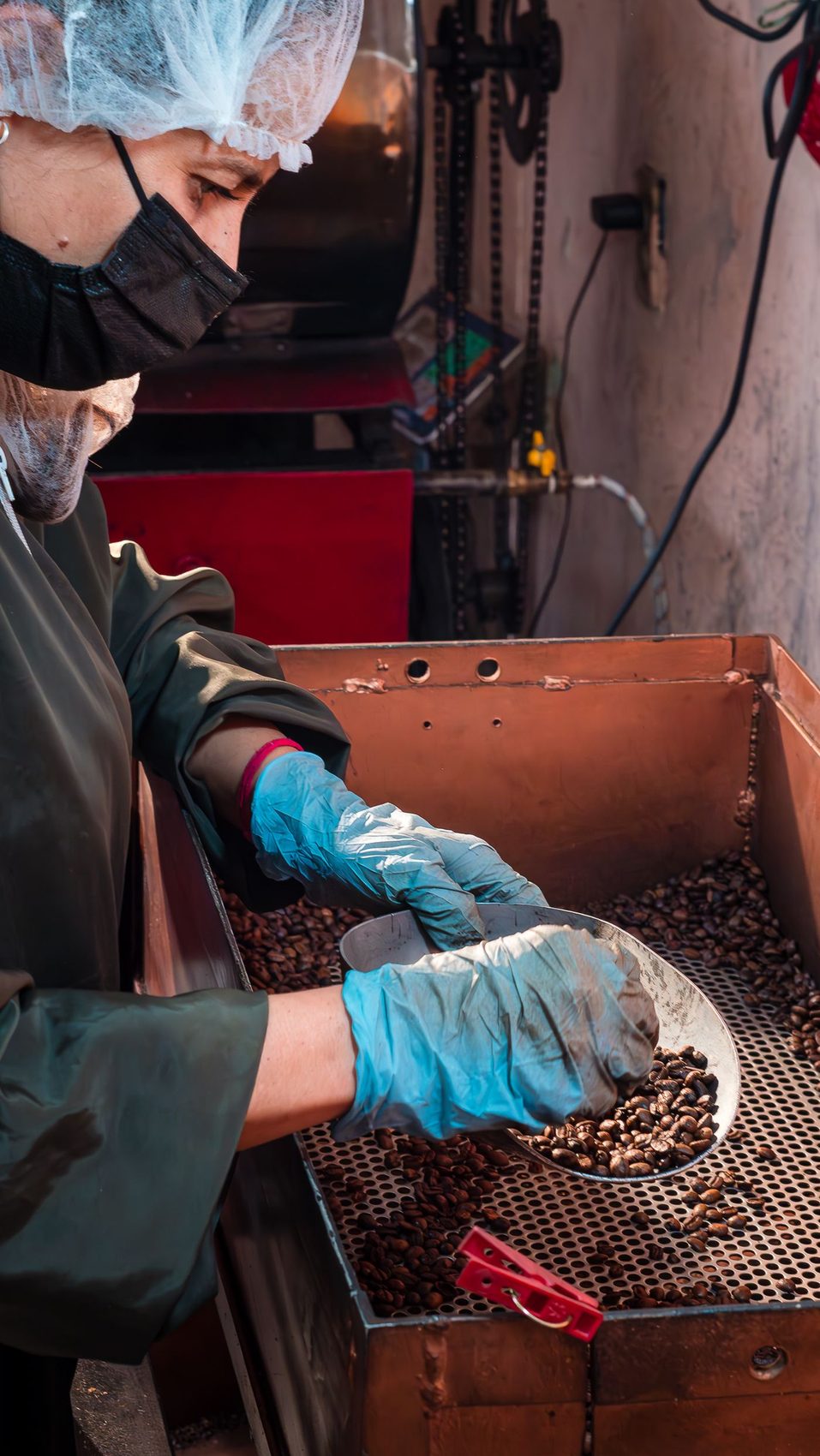 Gloved hands adjusting a commercial roaster discharge chute