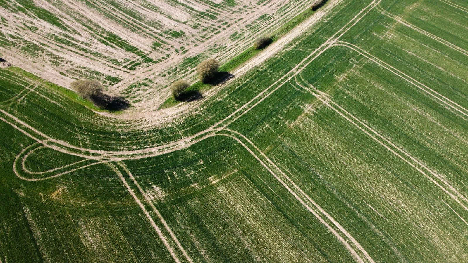 Geometry of the land