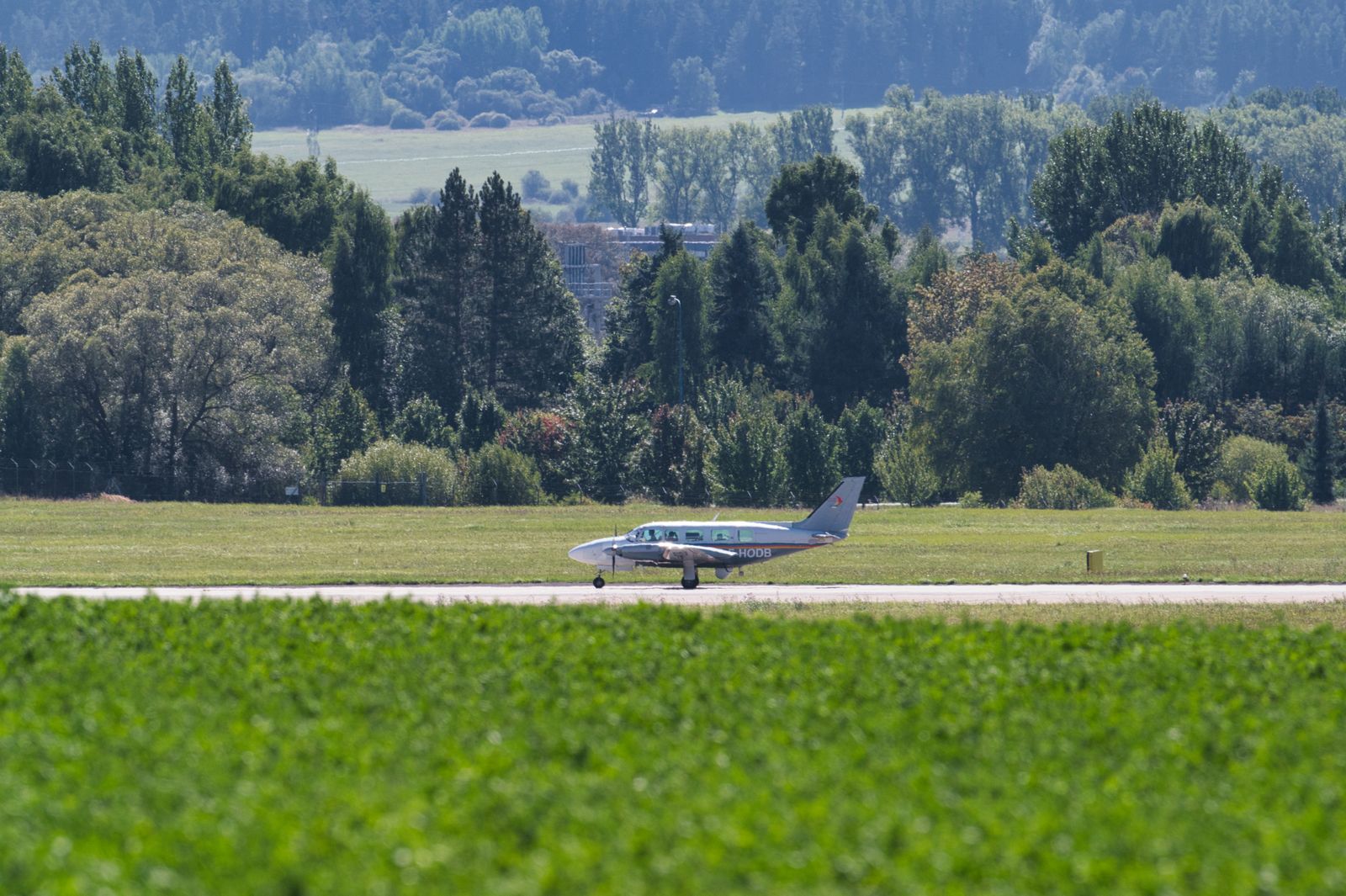 The airstrip in the trees