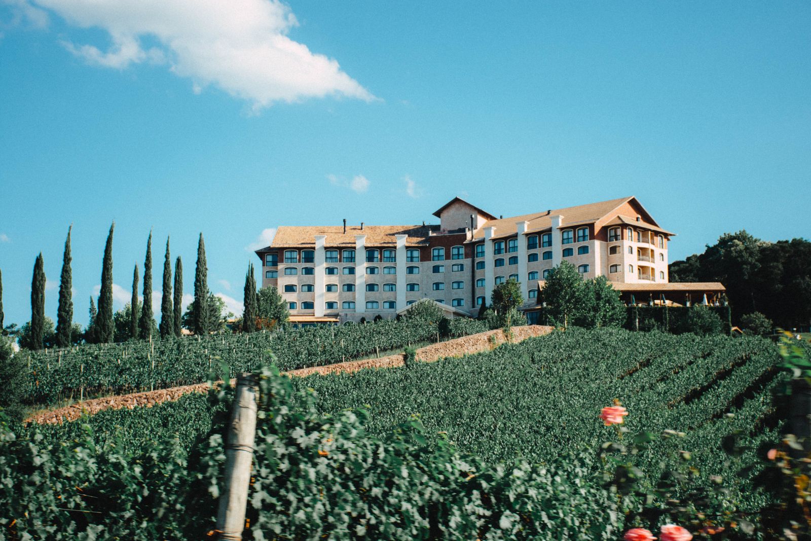The estate hotel seen across its vineyard