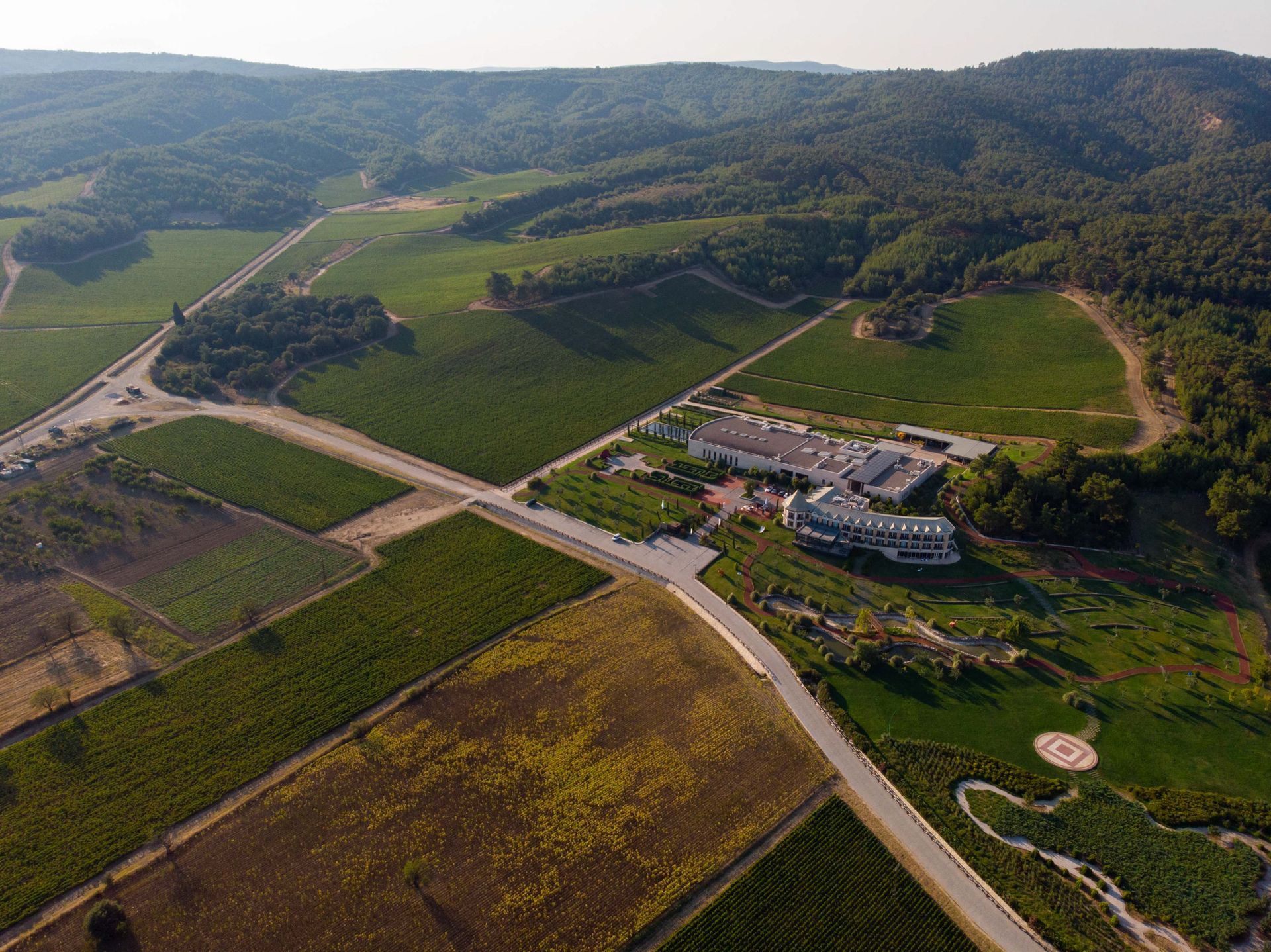 Aerial view of the estate and its vineyards among rolling hills