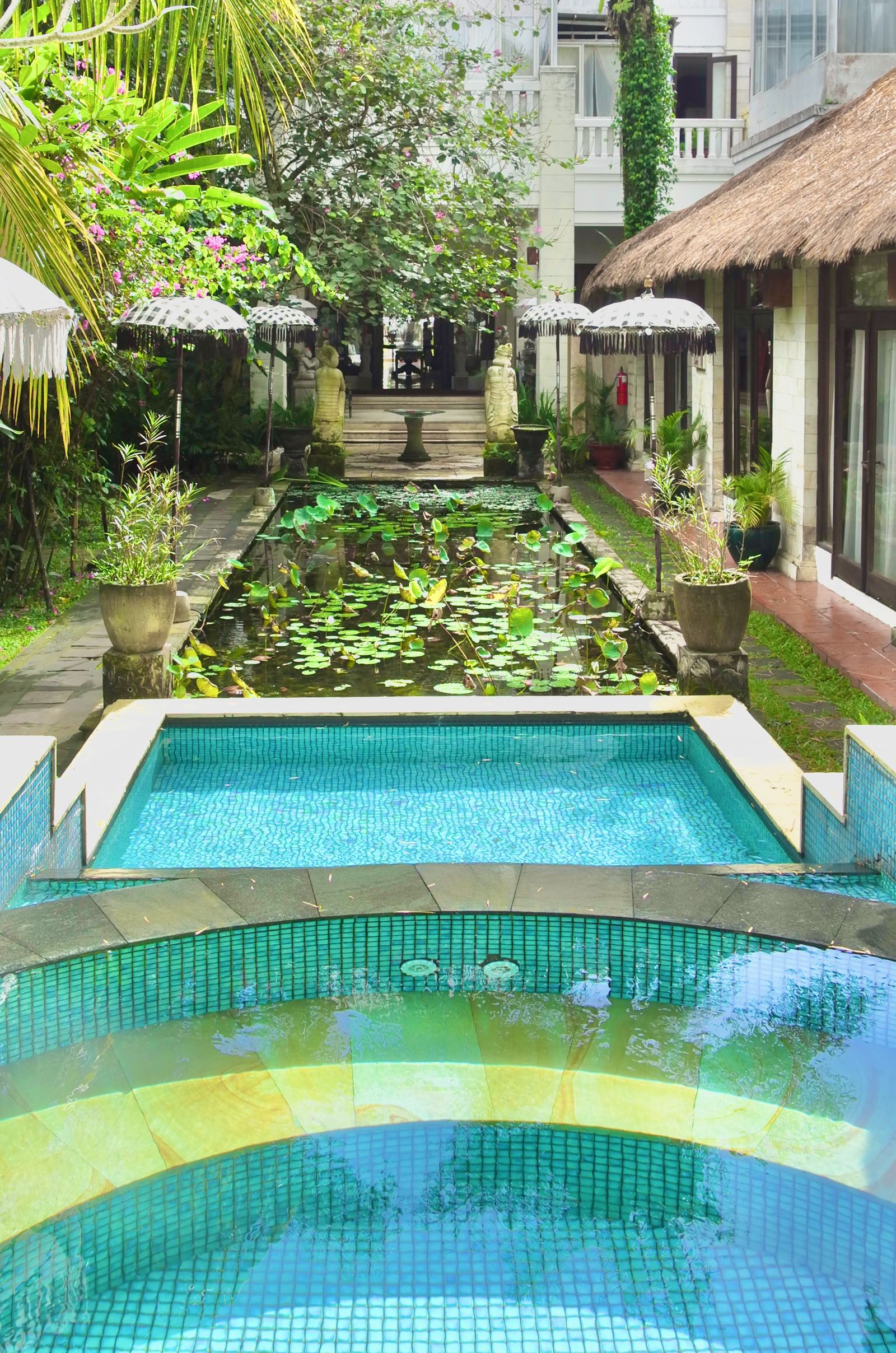 The garden pool