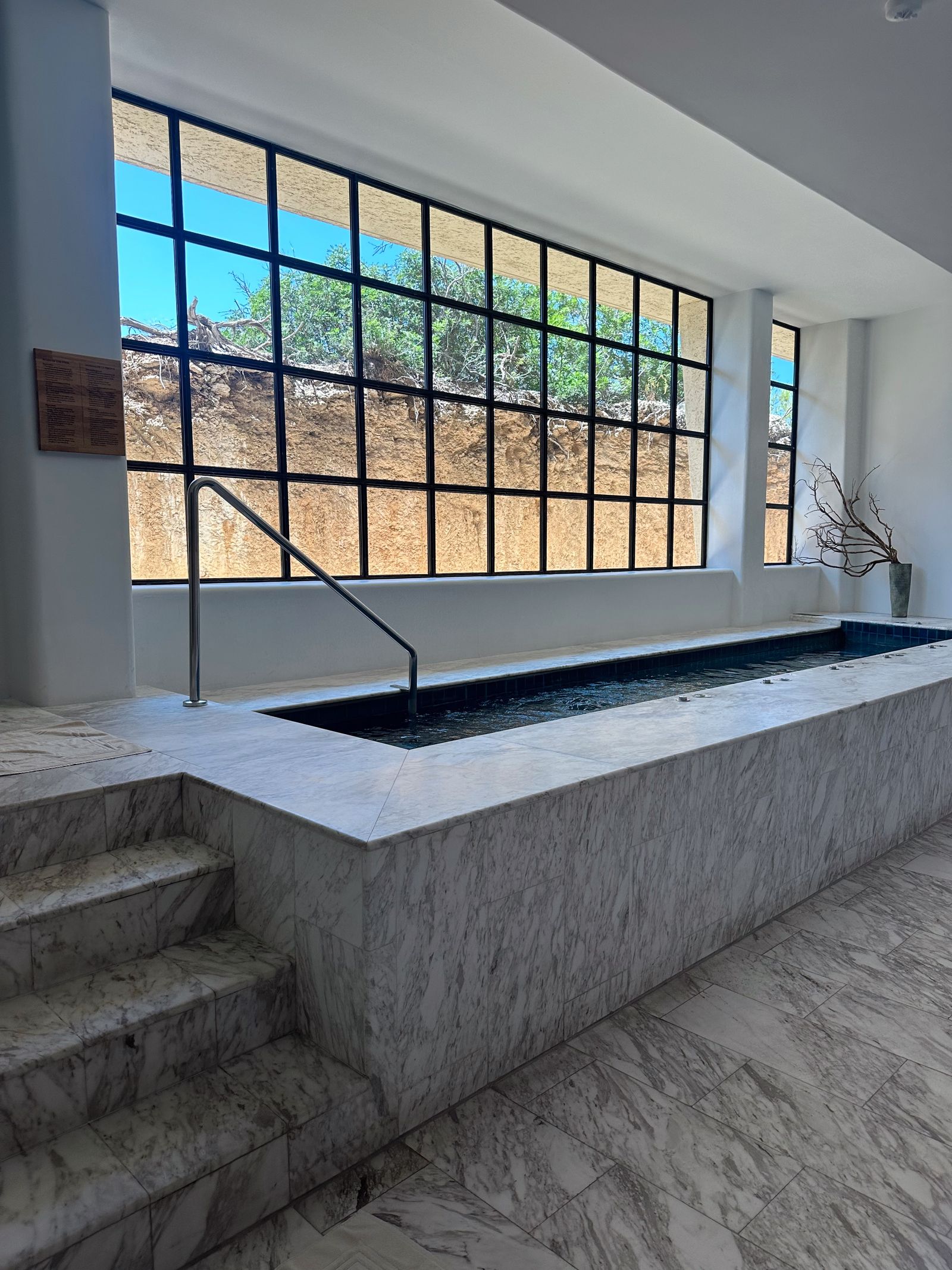 The marble wellness pool