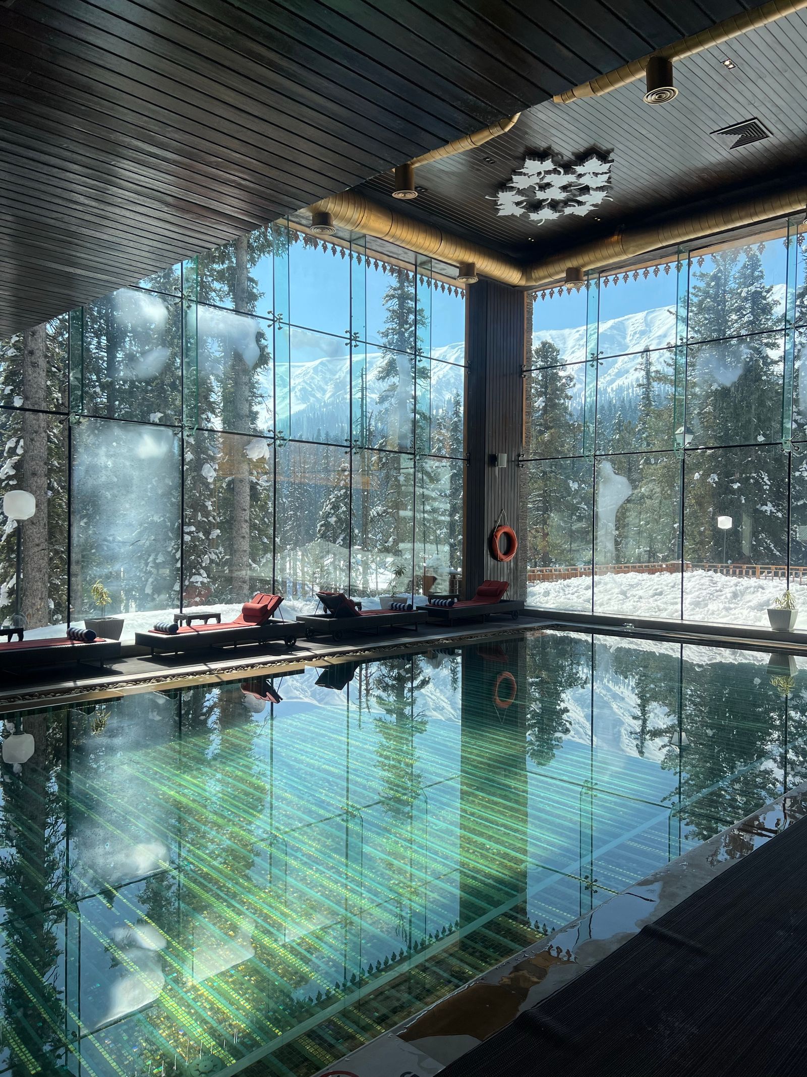 The forest-view pool