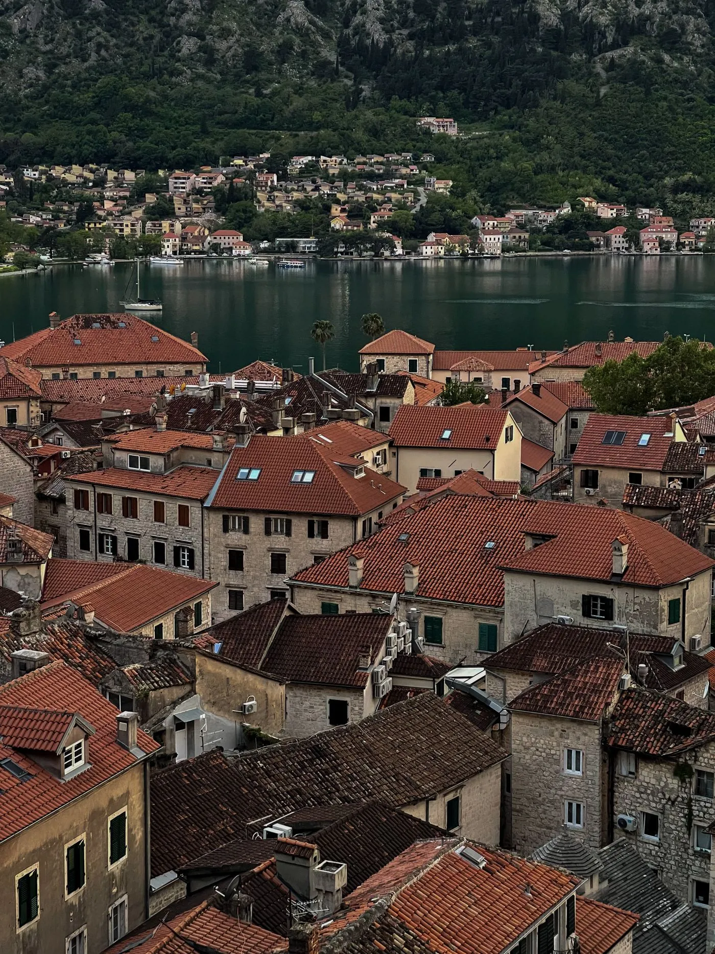 Kotor from the fortress