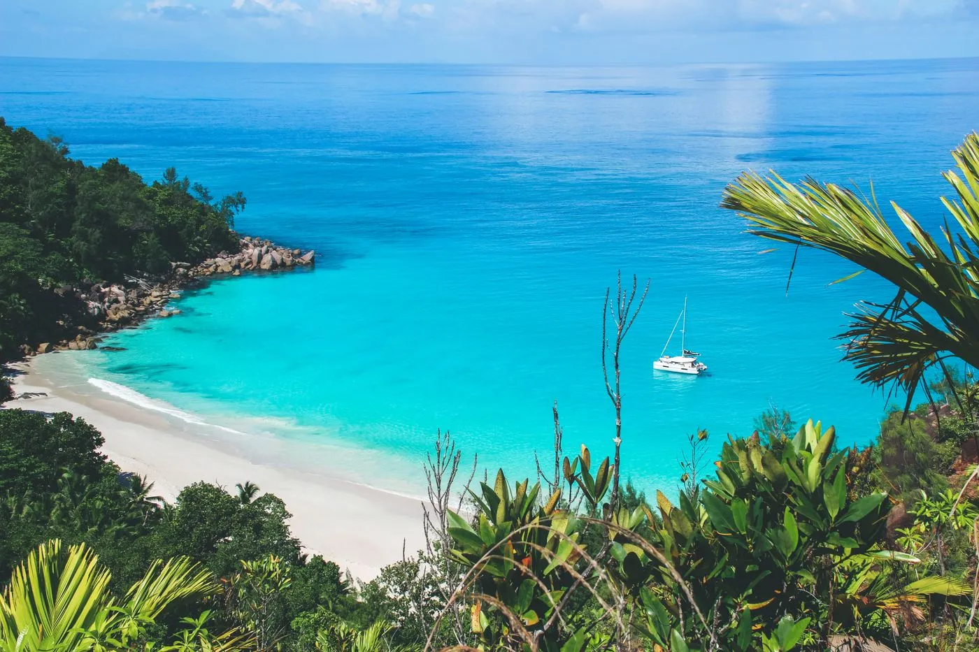 Clear tropical shallows