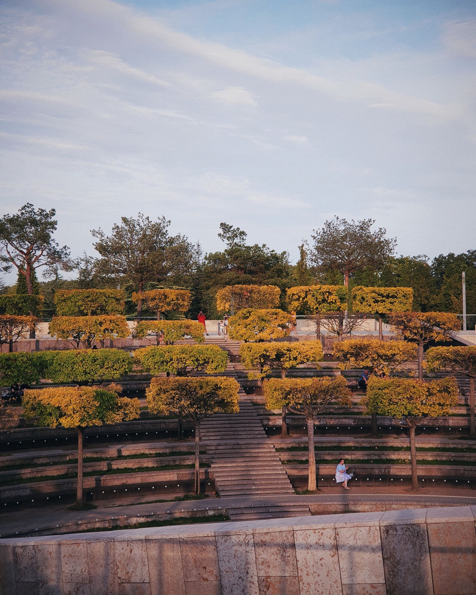 Terraced public park planted in bands with seating along the edge
