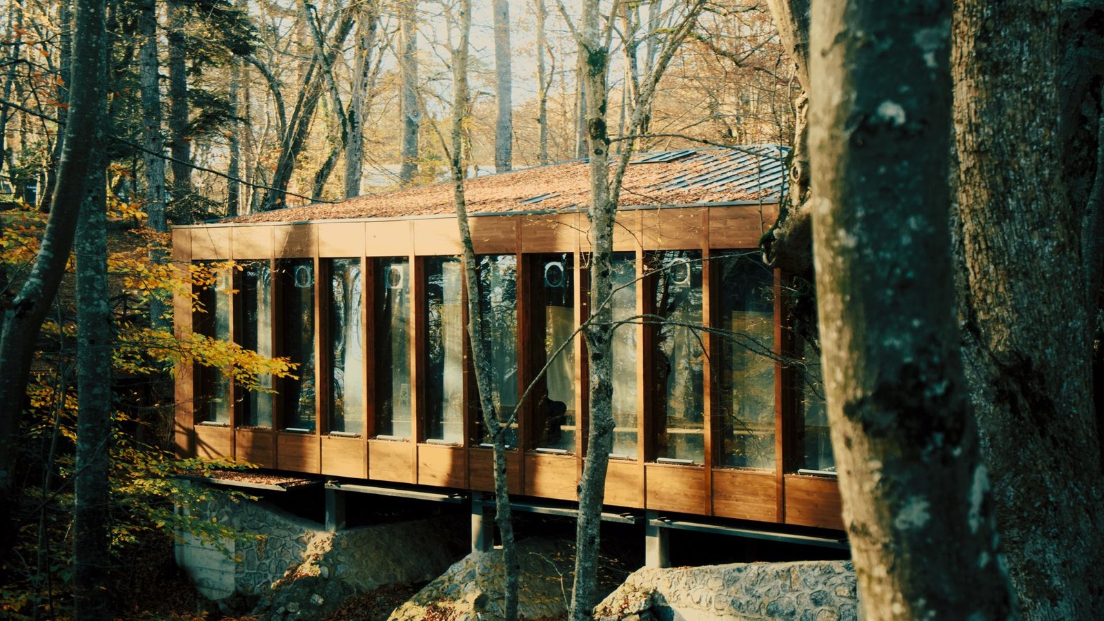 Long timber house cantilevered between mature trees above a rocky slope