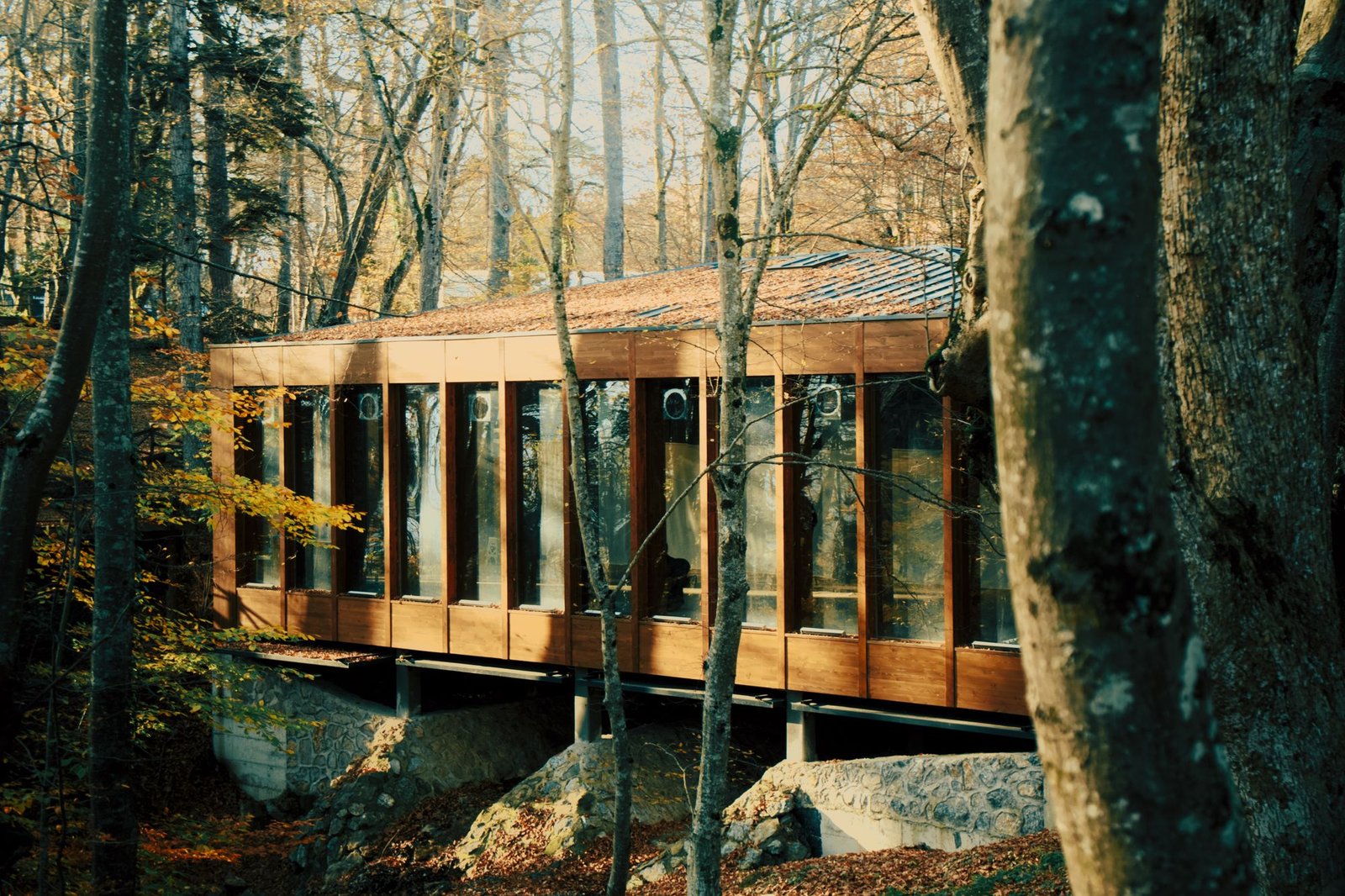 Long timber house cantilevered between mature trees above a rocky slope