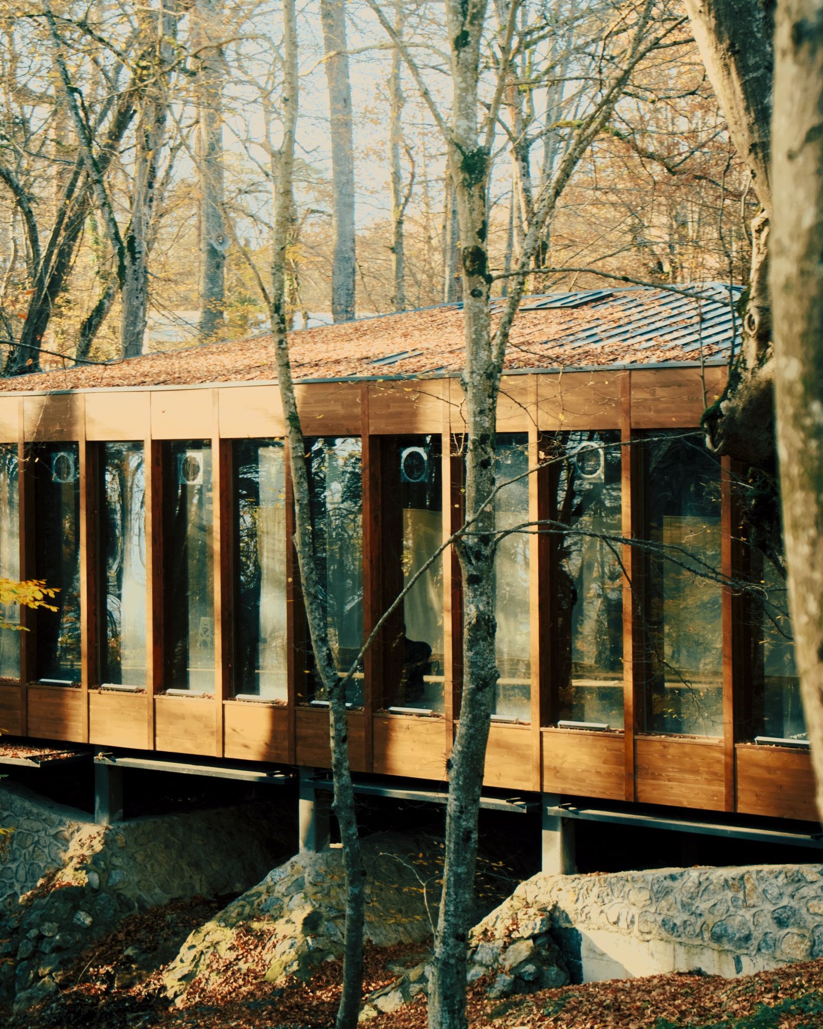 Long timber house cantilevered between mature trees above a rocky slope