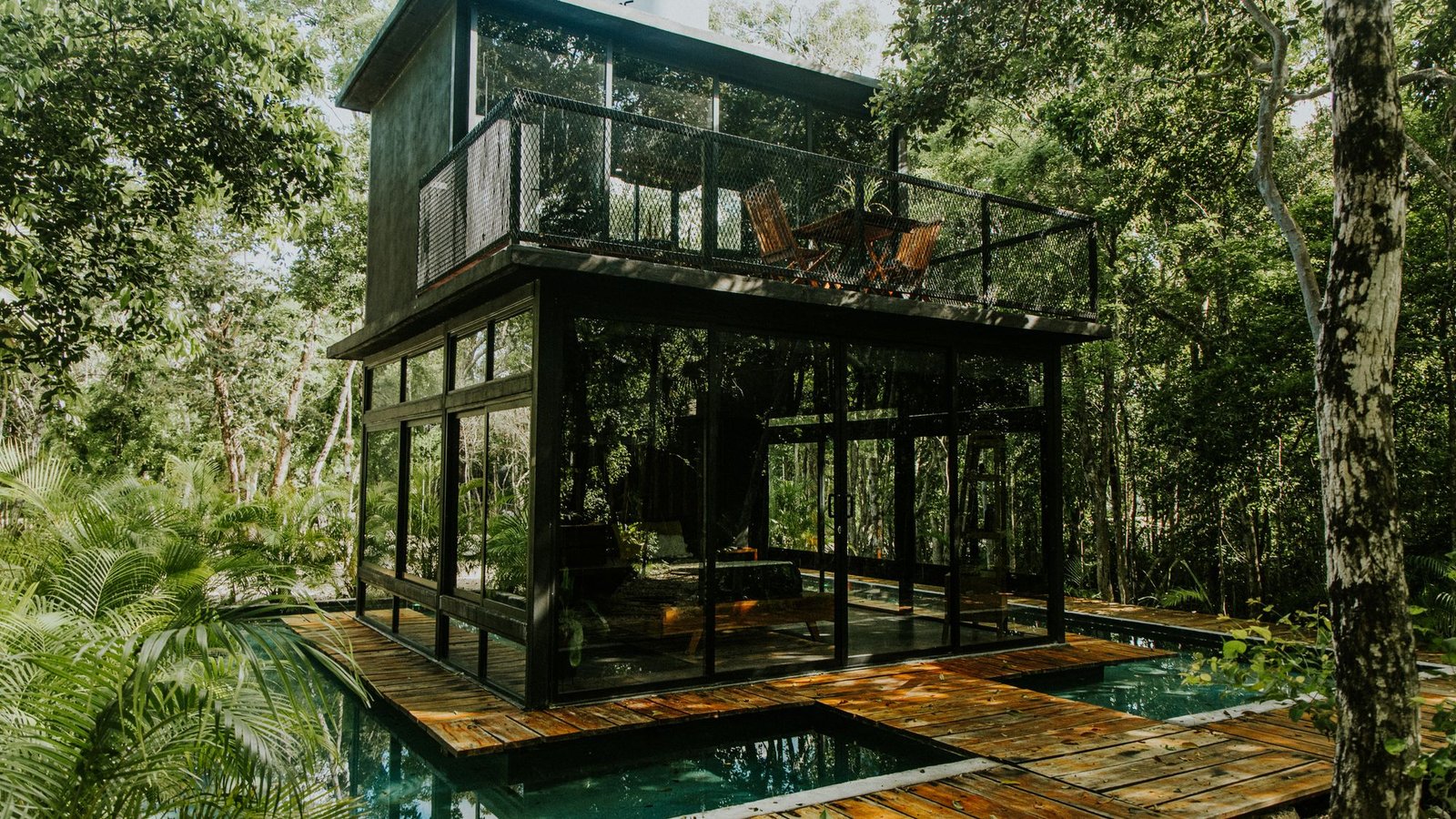 Glazed timber pavilion raised on posts in dense woodland