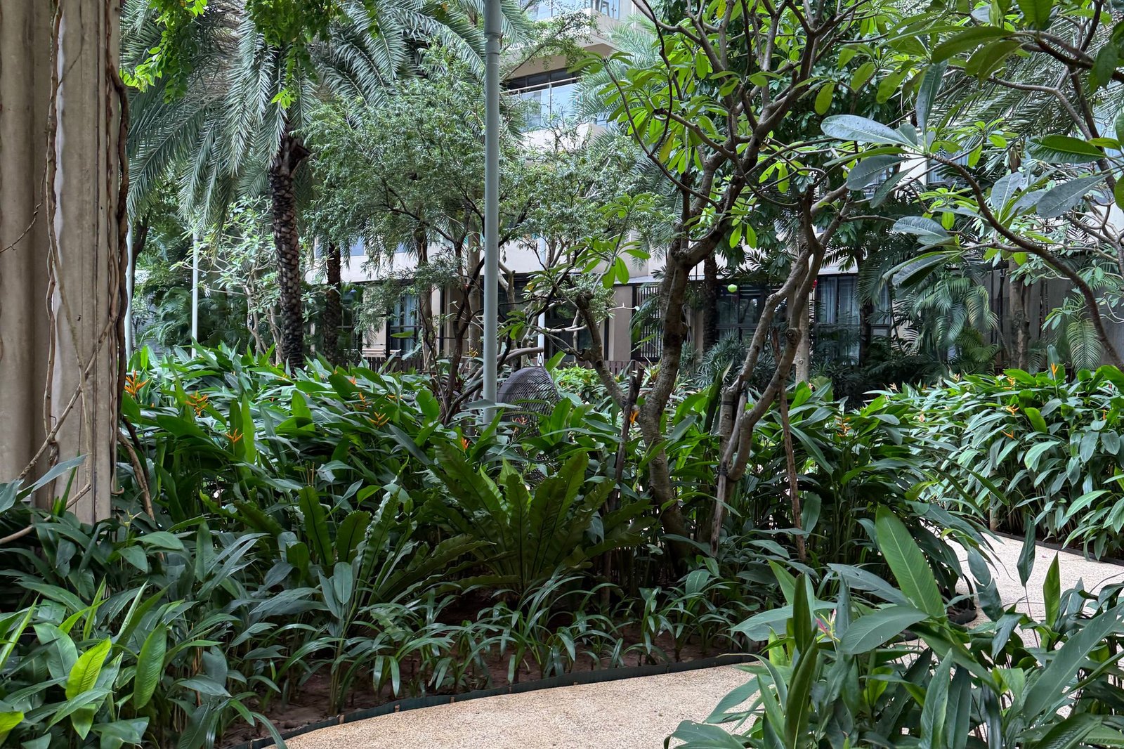 Curved path running between dense planting and concrete retaining walls