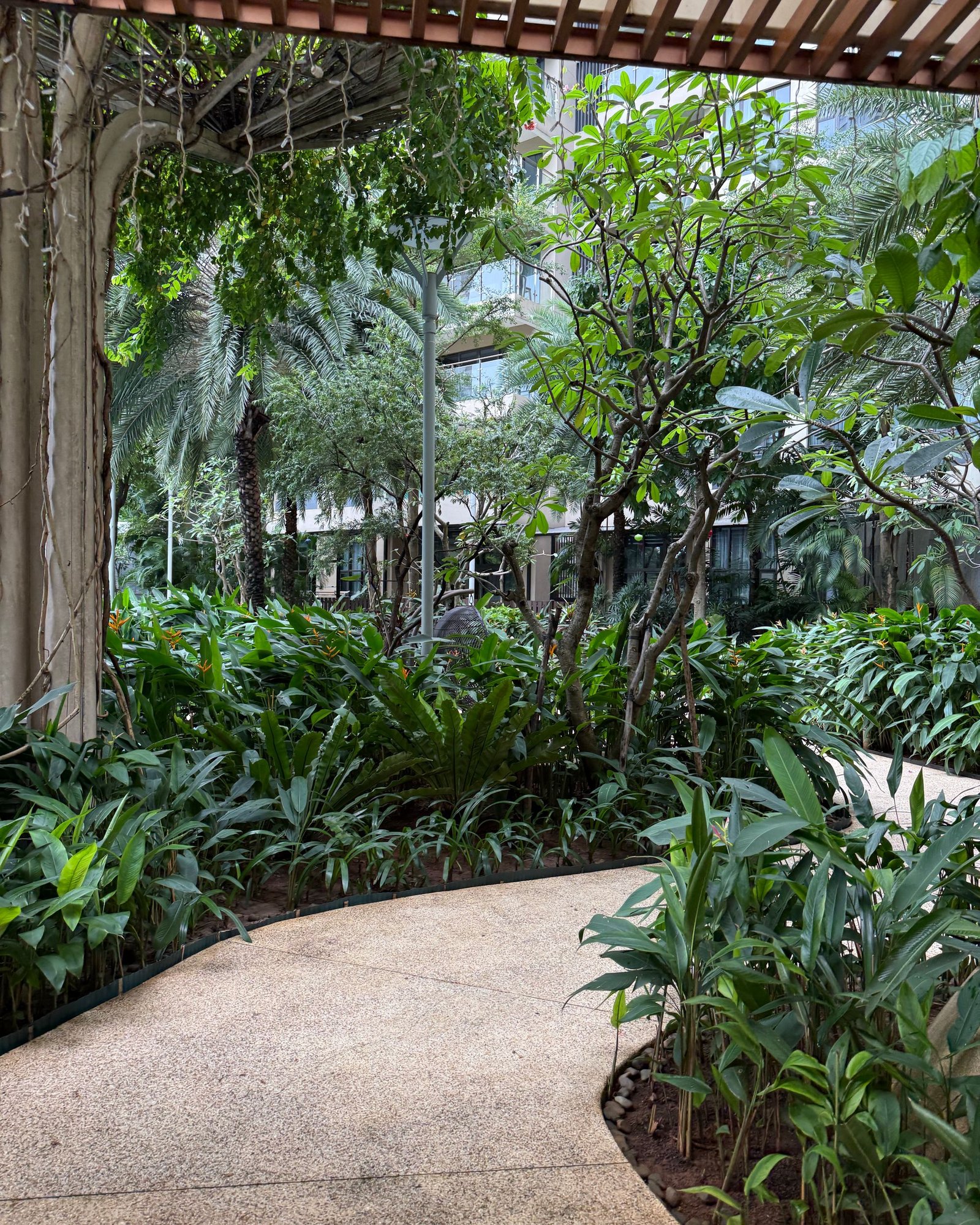 Curved path through dense planting between concrete walls