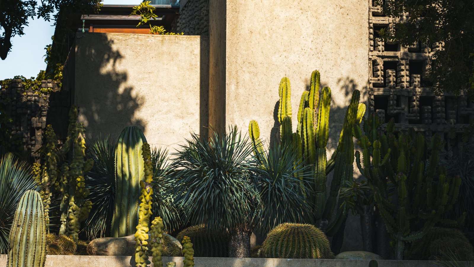 White rendered house with a low horizontal roof set behind a garden of cacti and gravel