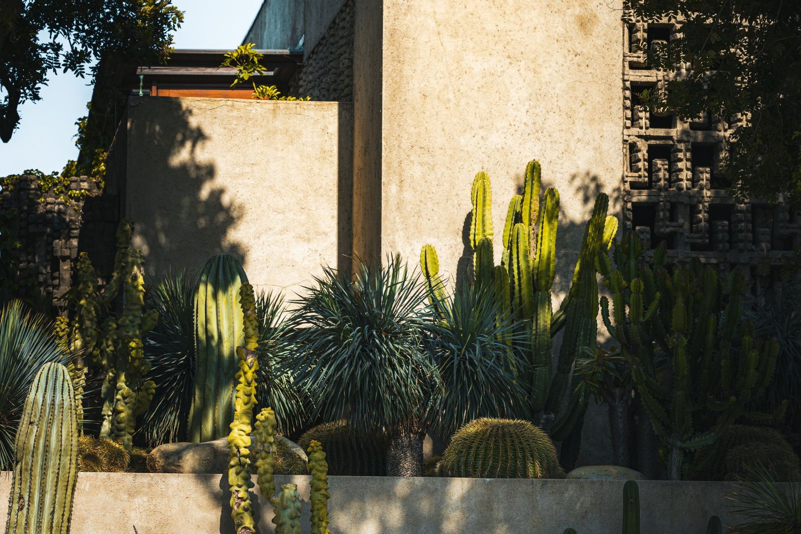 White rendered house with a low horizontal roof set behind a garden of cacti and gravel