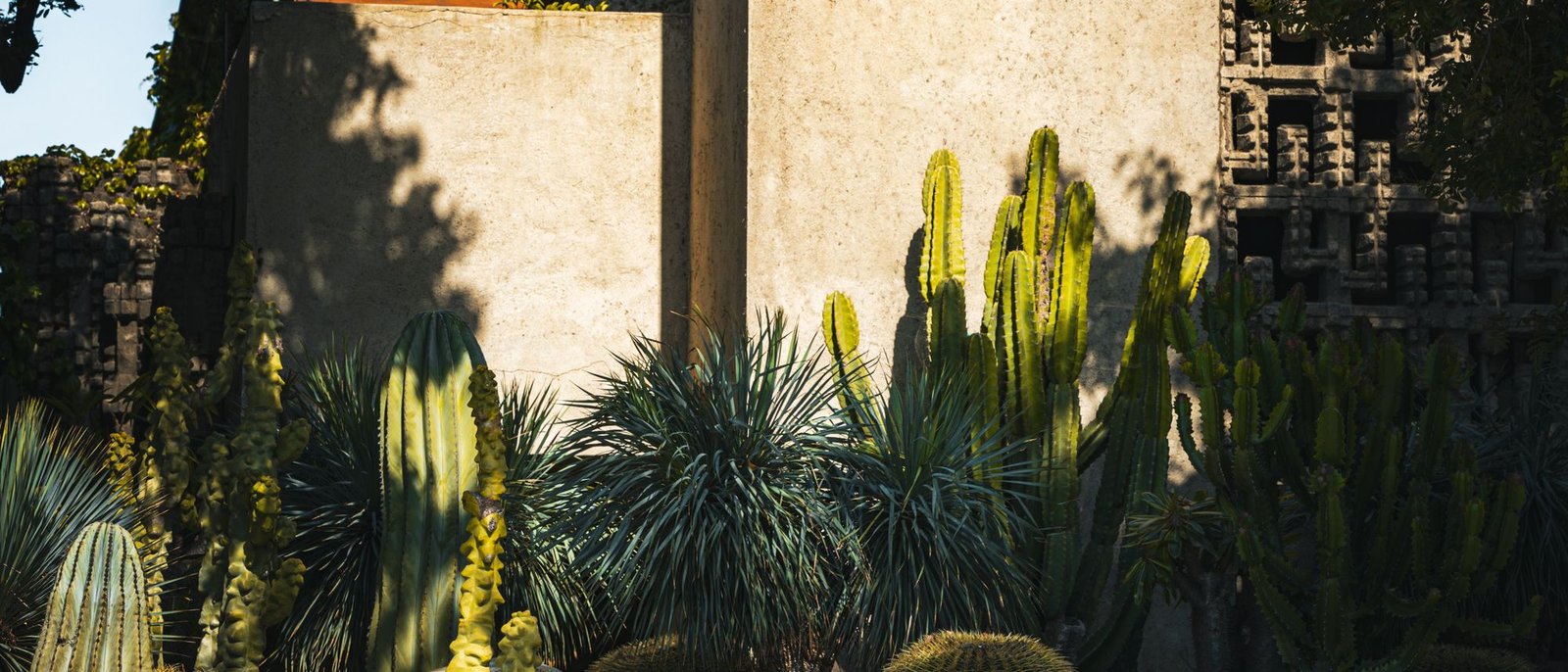 White rendered house with a low horizontal roof set behind a garden of cacti and gravel