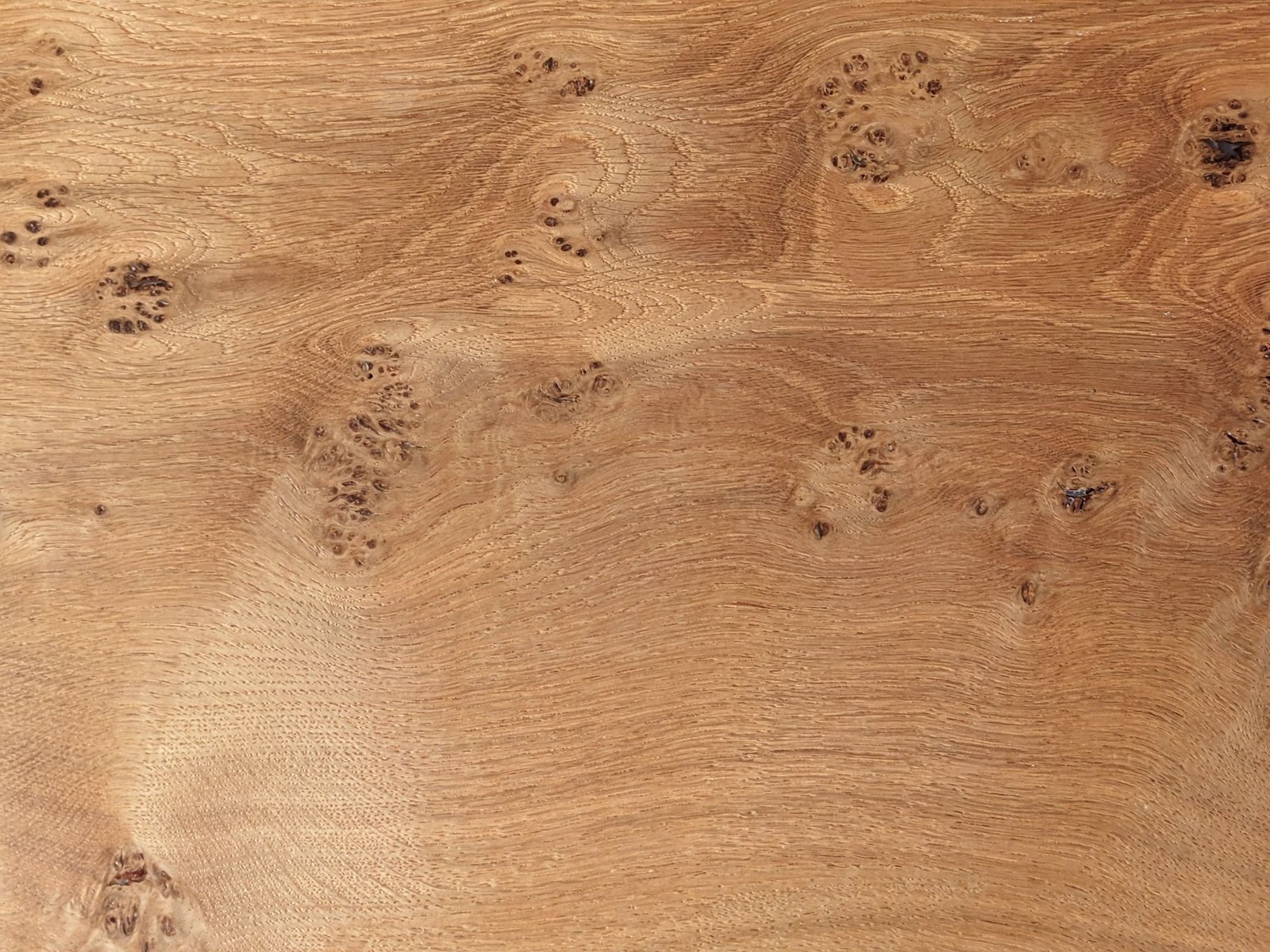 Oak timber surface showing rich grain and knots
