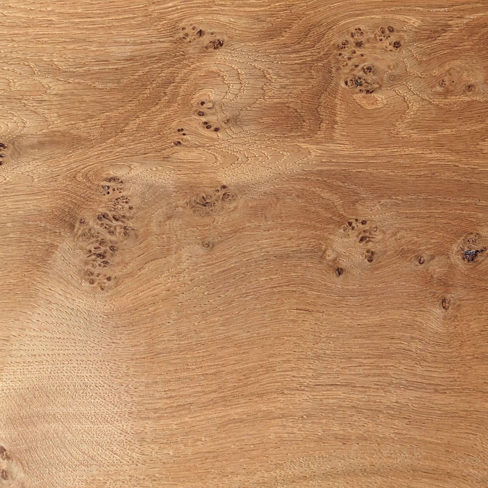 Oak timber surface showing rich grain and knots