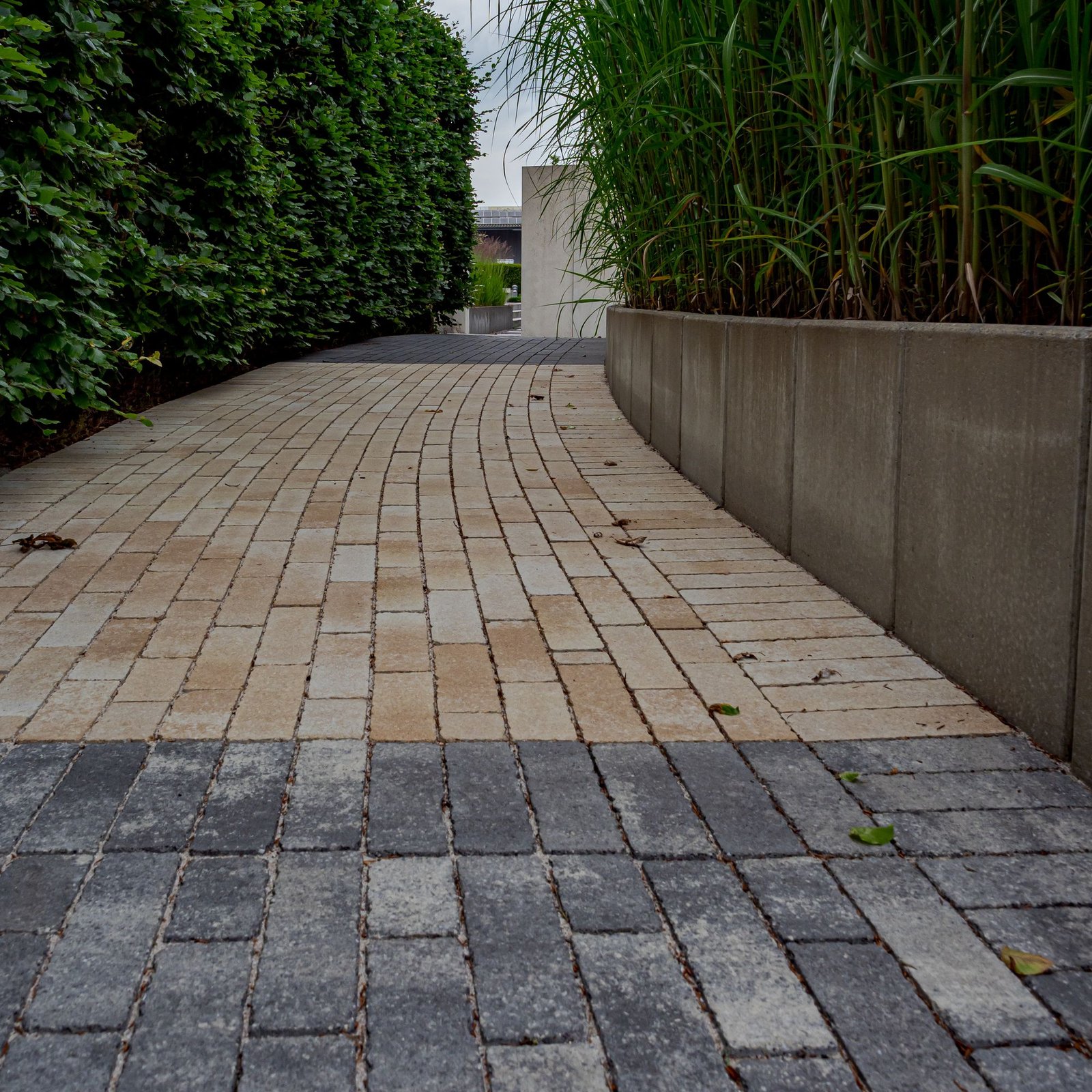Paved walkway between clipped hedges and a raised planter