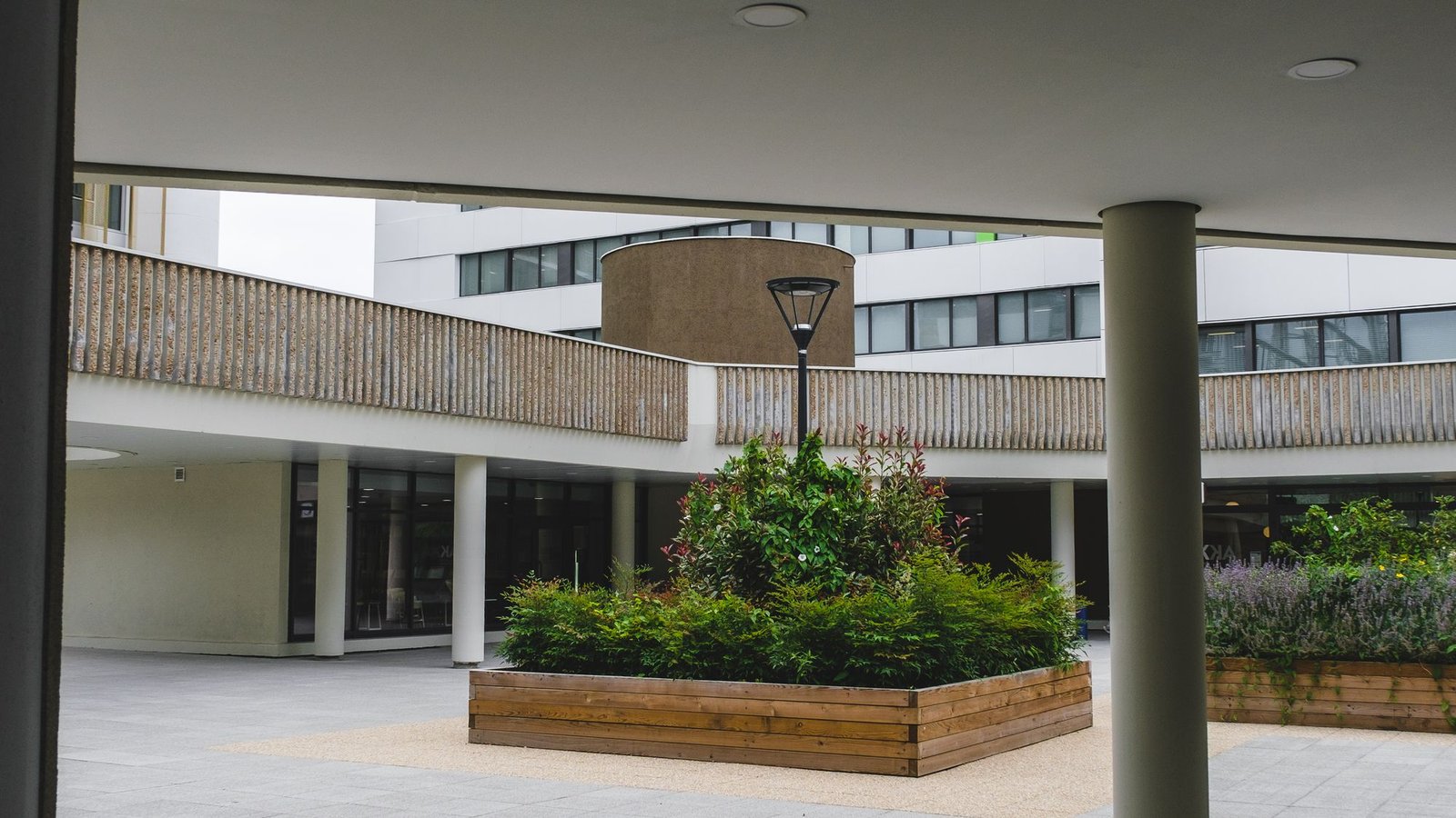 Planted courtyard enclosed by a modern building with deep overhangs