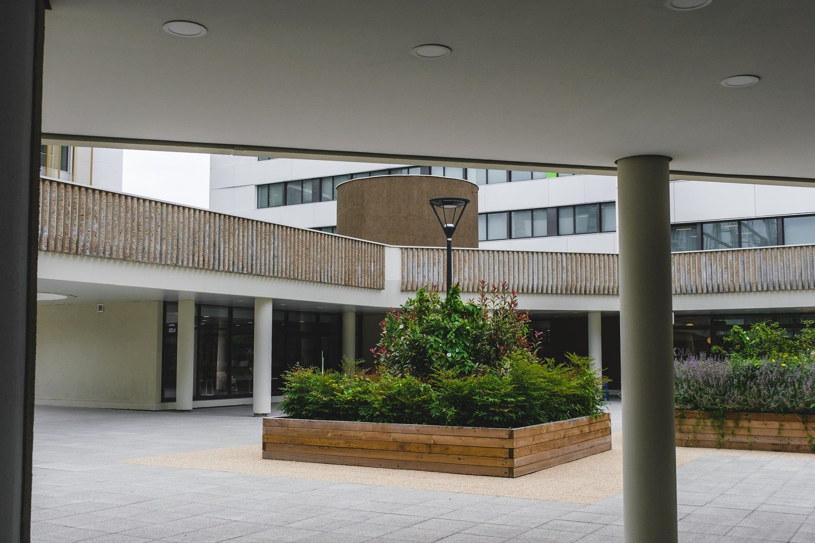 Planted courtyard enclosed by a modern building with deep overhangs