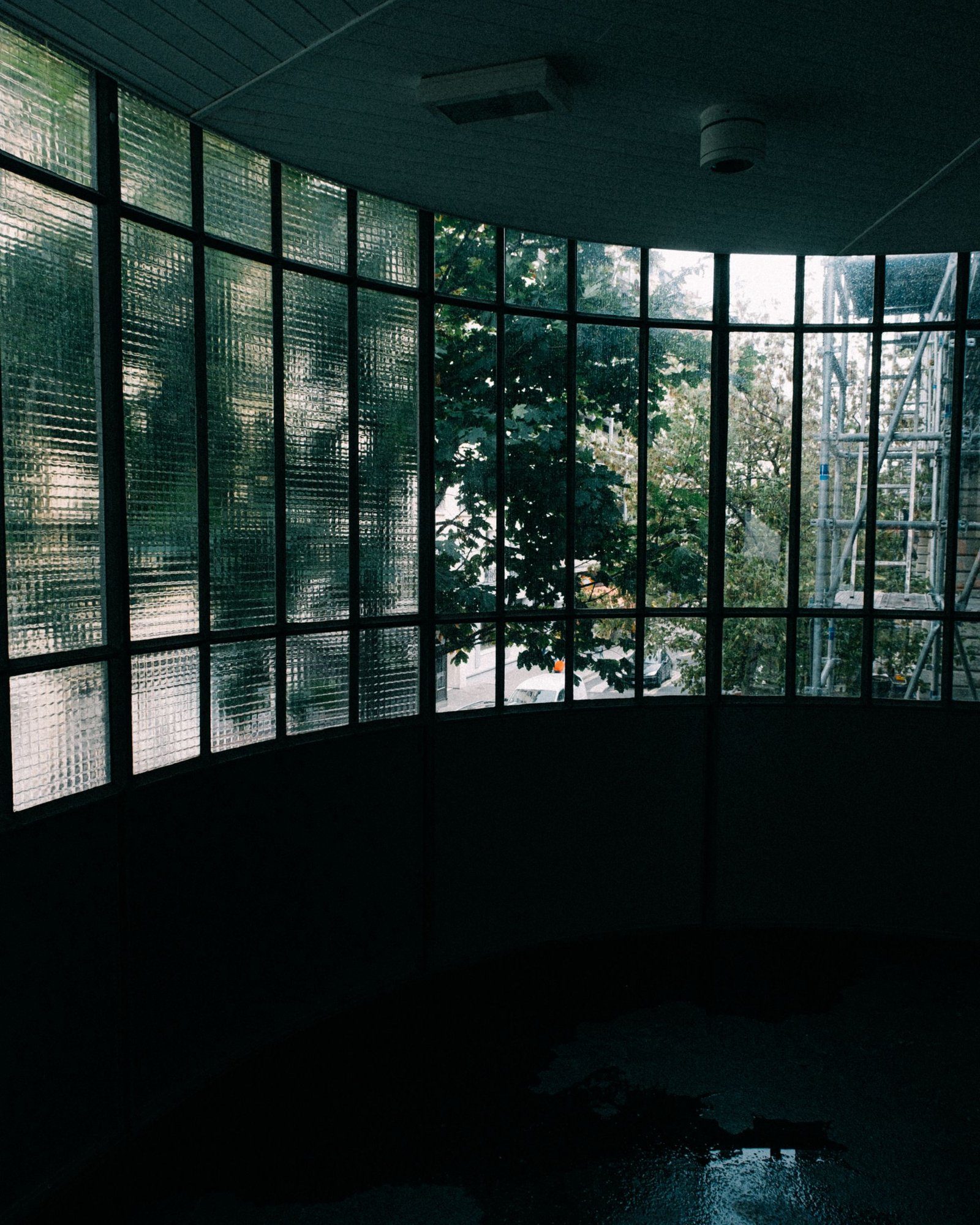 Dark interior opening through full-height glass onto green forest