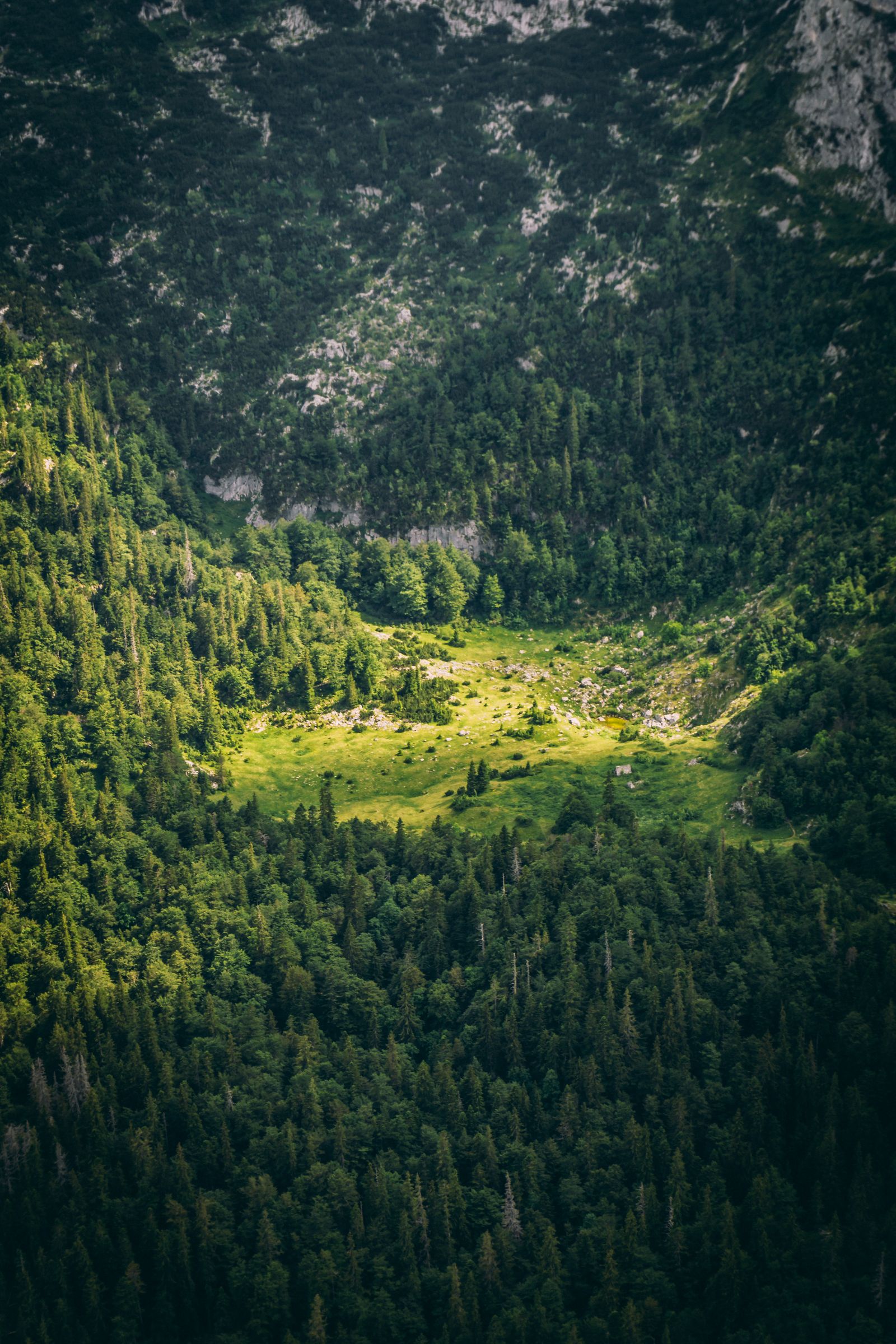 Aerial view of a verdant forest valley among peaks