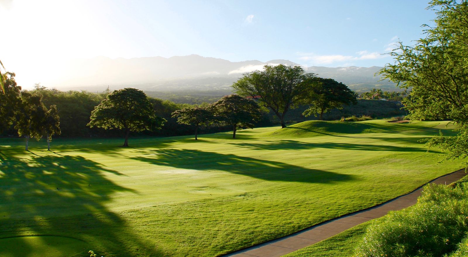 A lush mountain golf fairway framed by trees